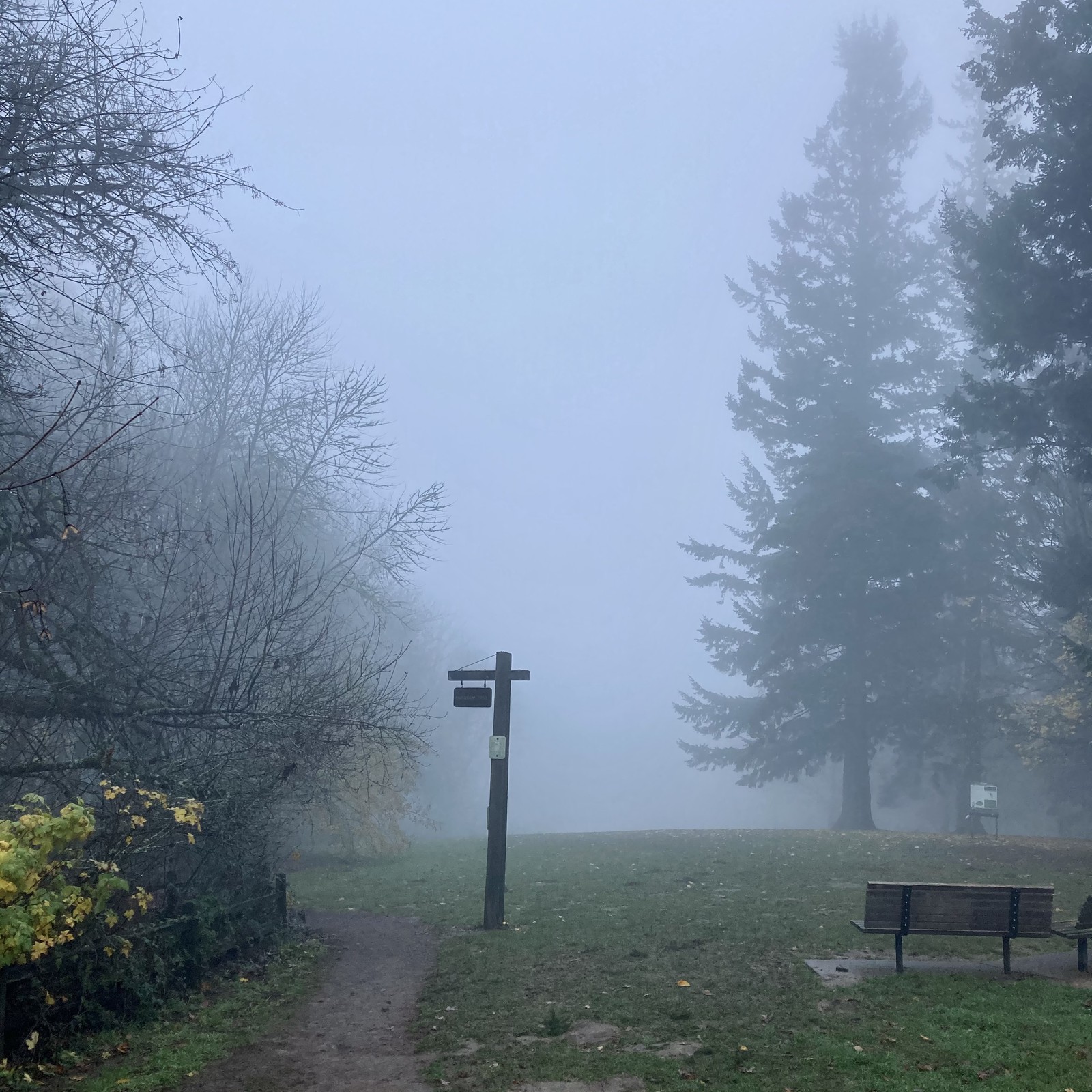 View from Council Crest toward Mt. Hood, which is NOT visible