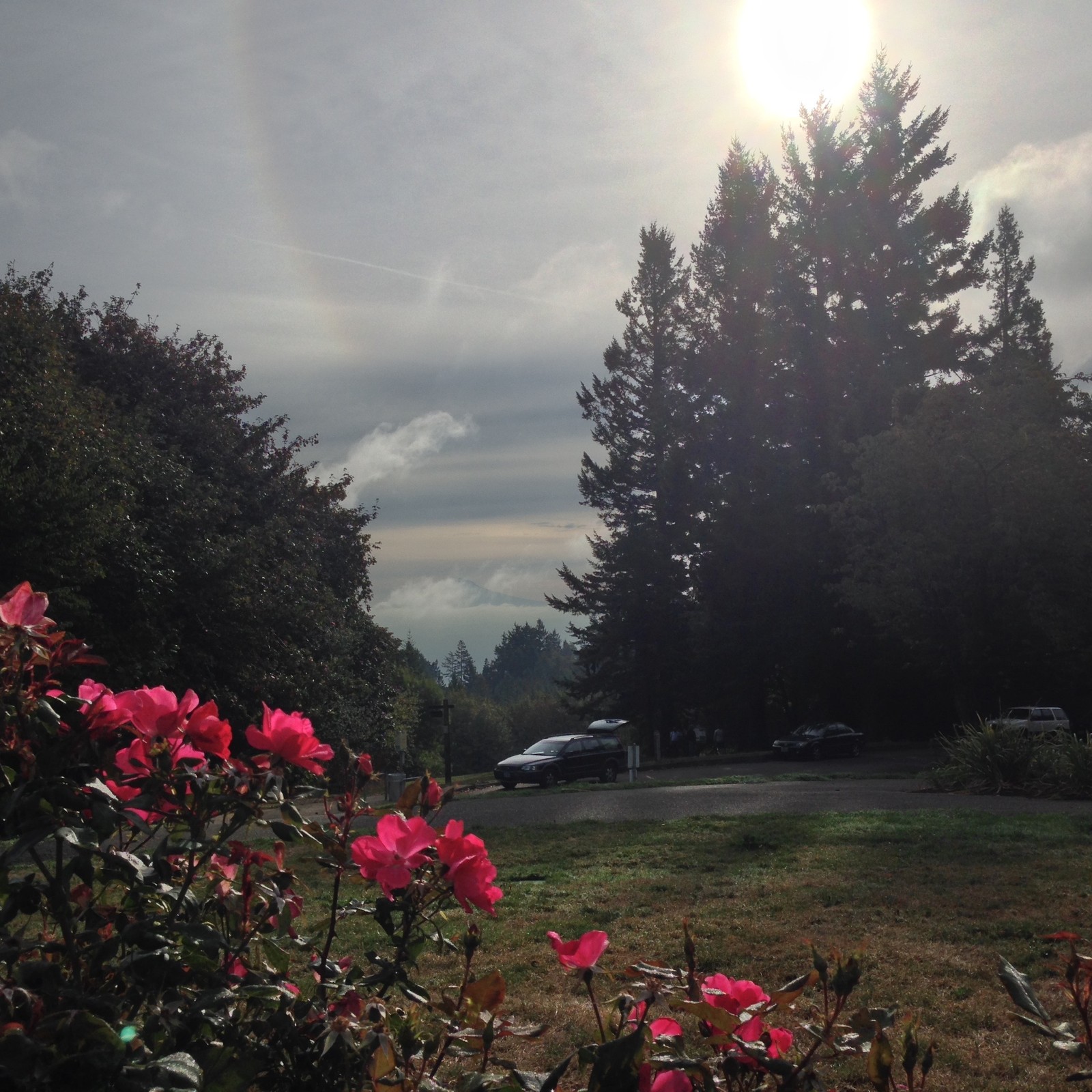 View from Council Crest toward Mt. Hood, which is visible