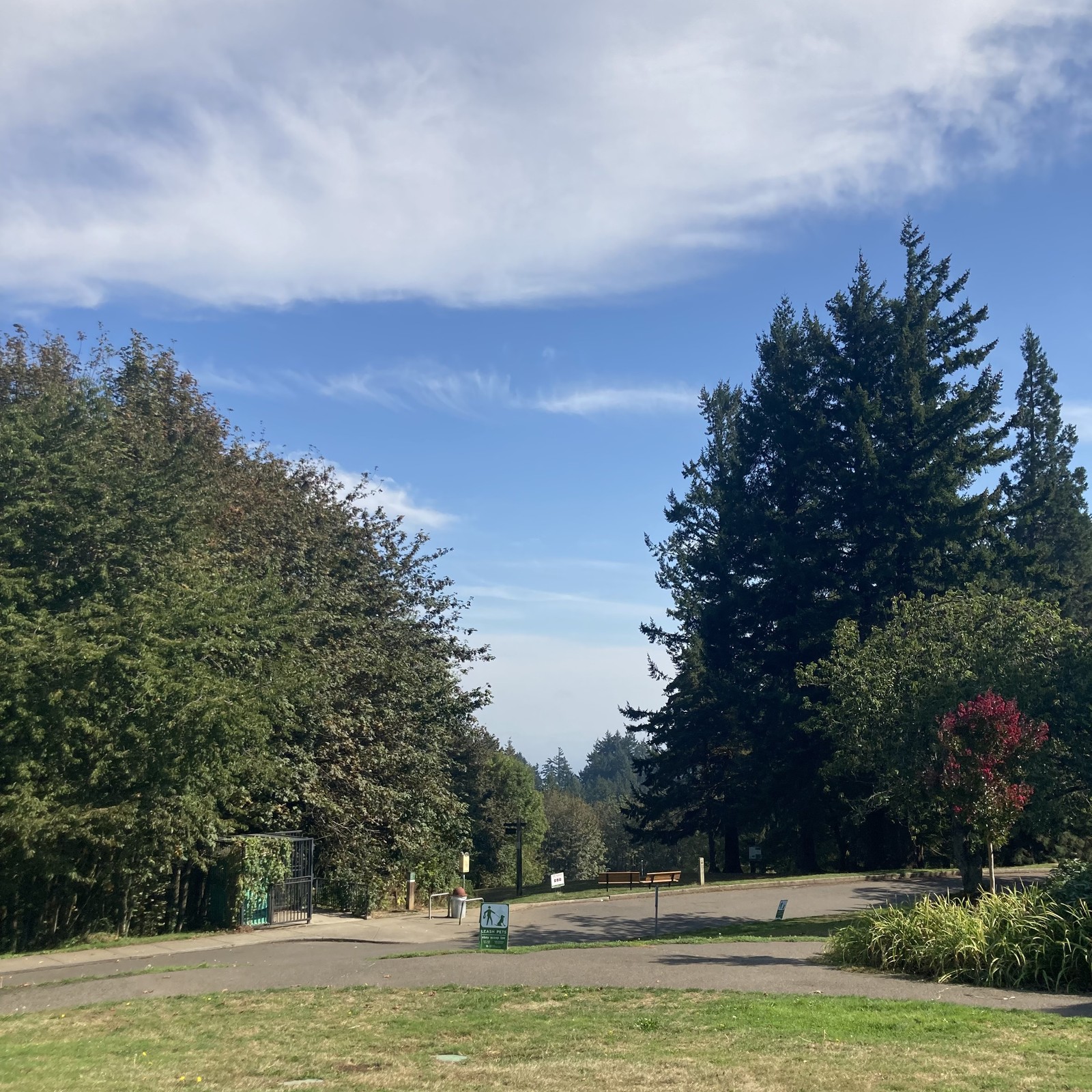 View from Council Crest toward Mt. Hood, which is visible