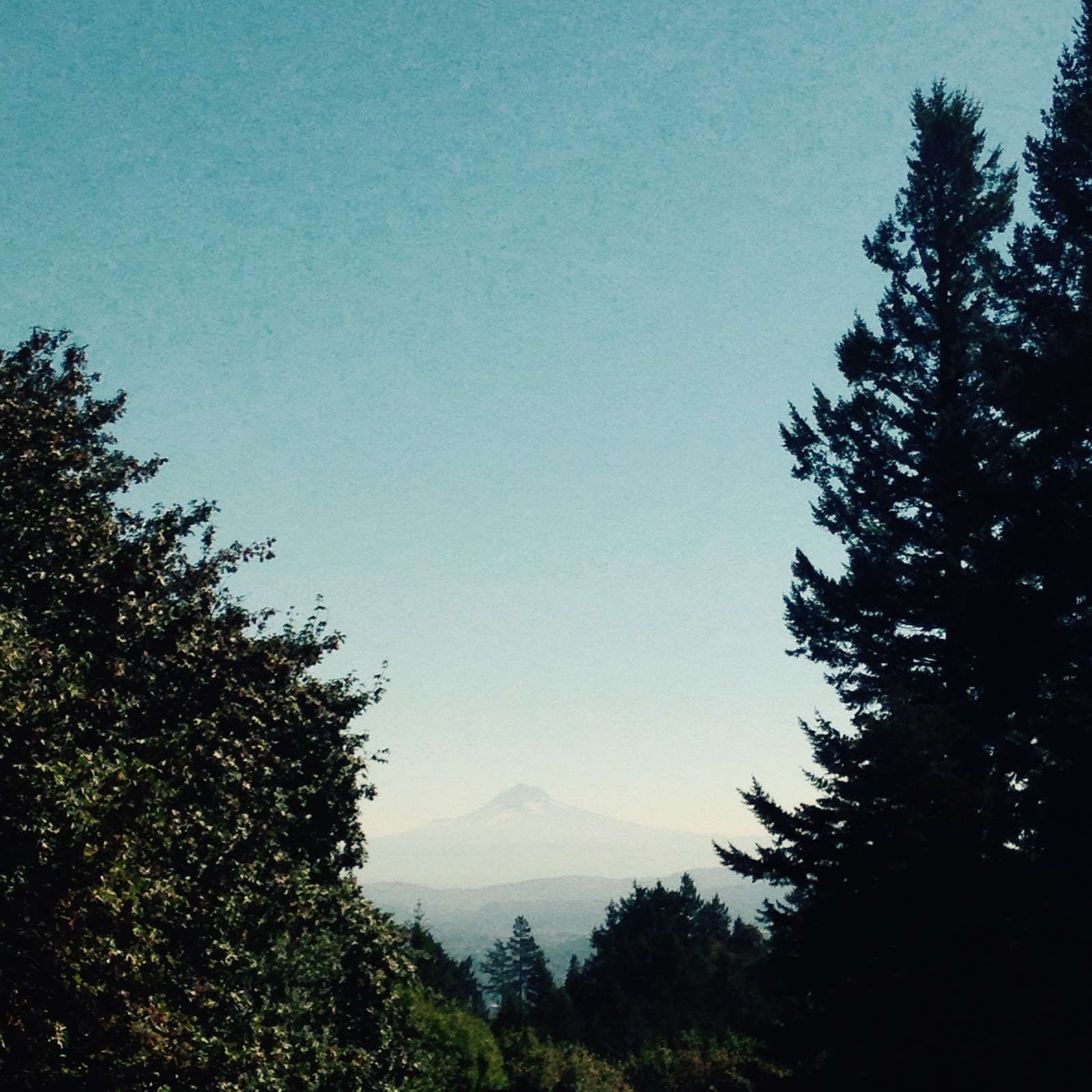 View from Council Crest toward Mt. Hood, which is visible