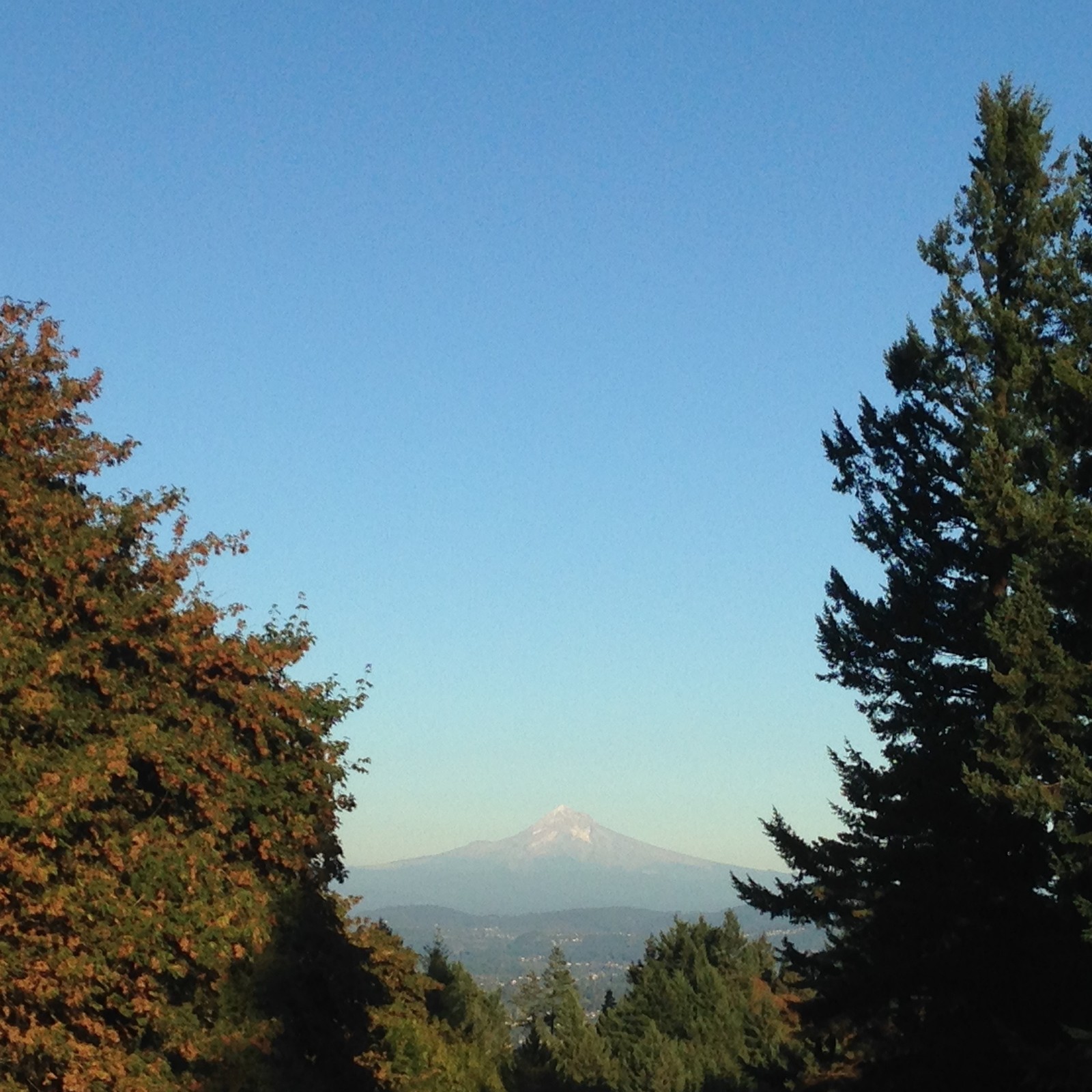 View from Council Crest toward Mt. Hood, which is visible