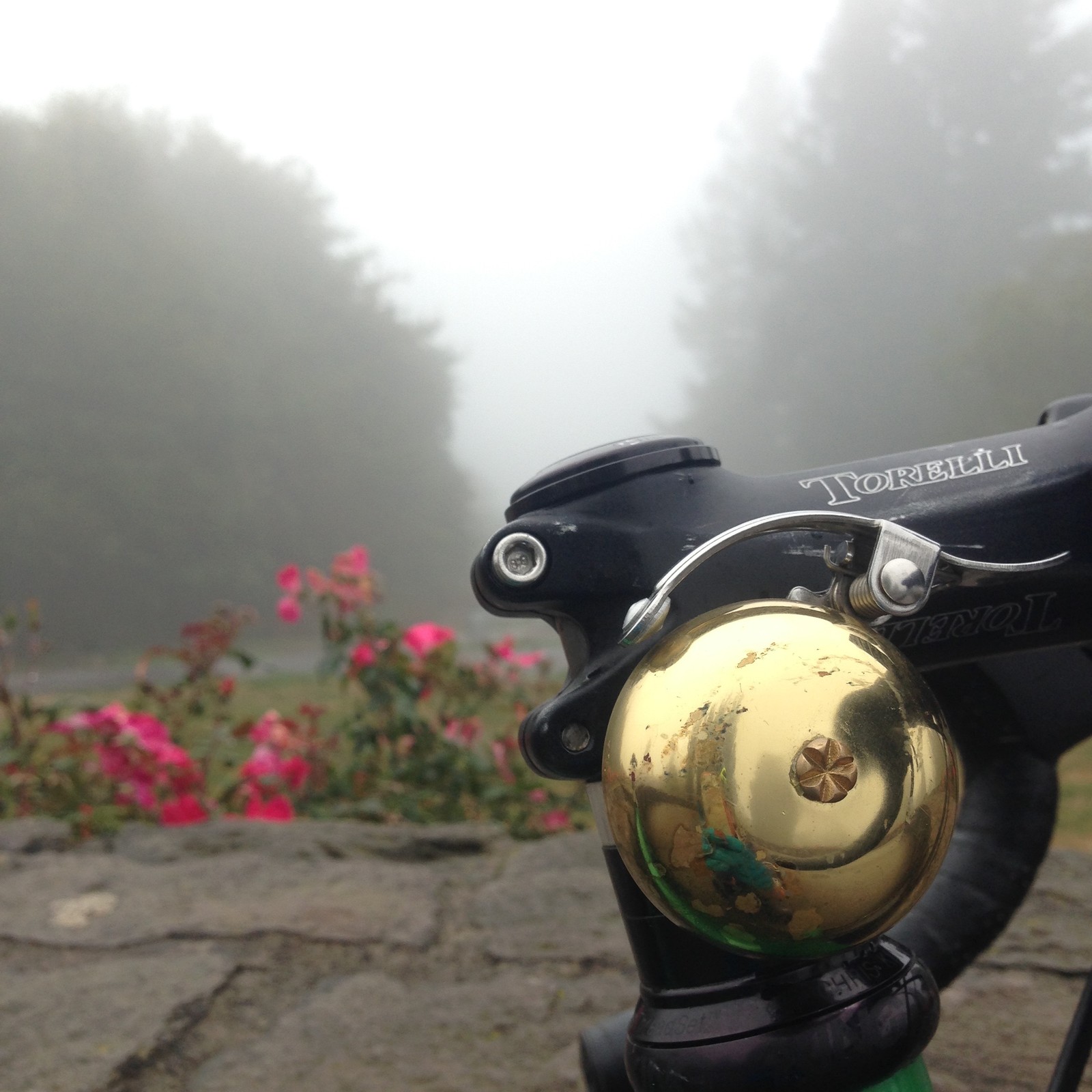 View from Council Crest toward Mt. Hood, which is NOT visible