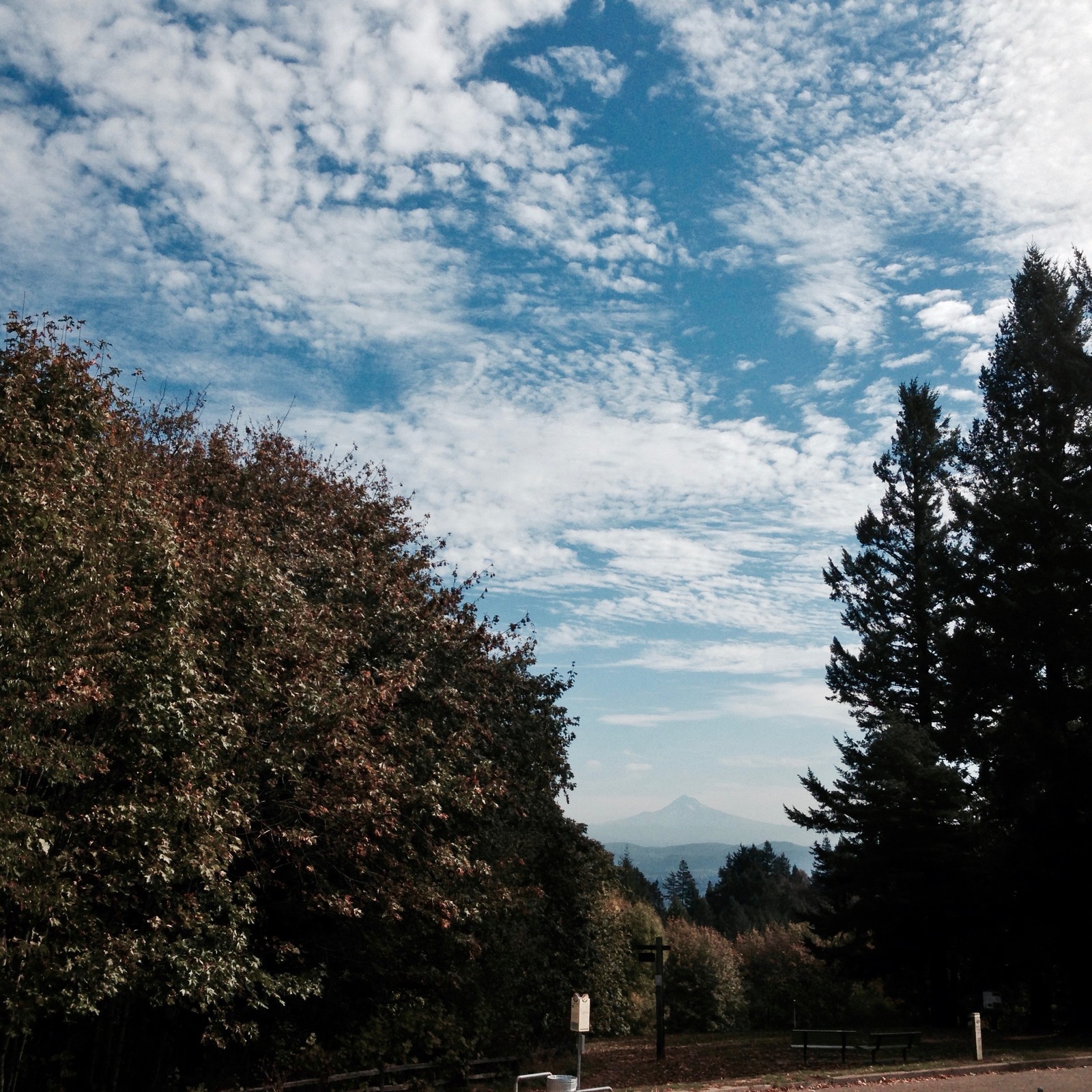 View from Council Crest toward Mt. Hood, which is visible
