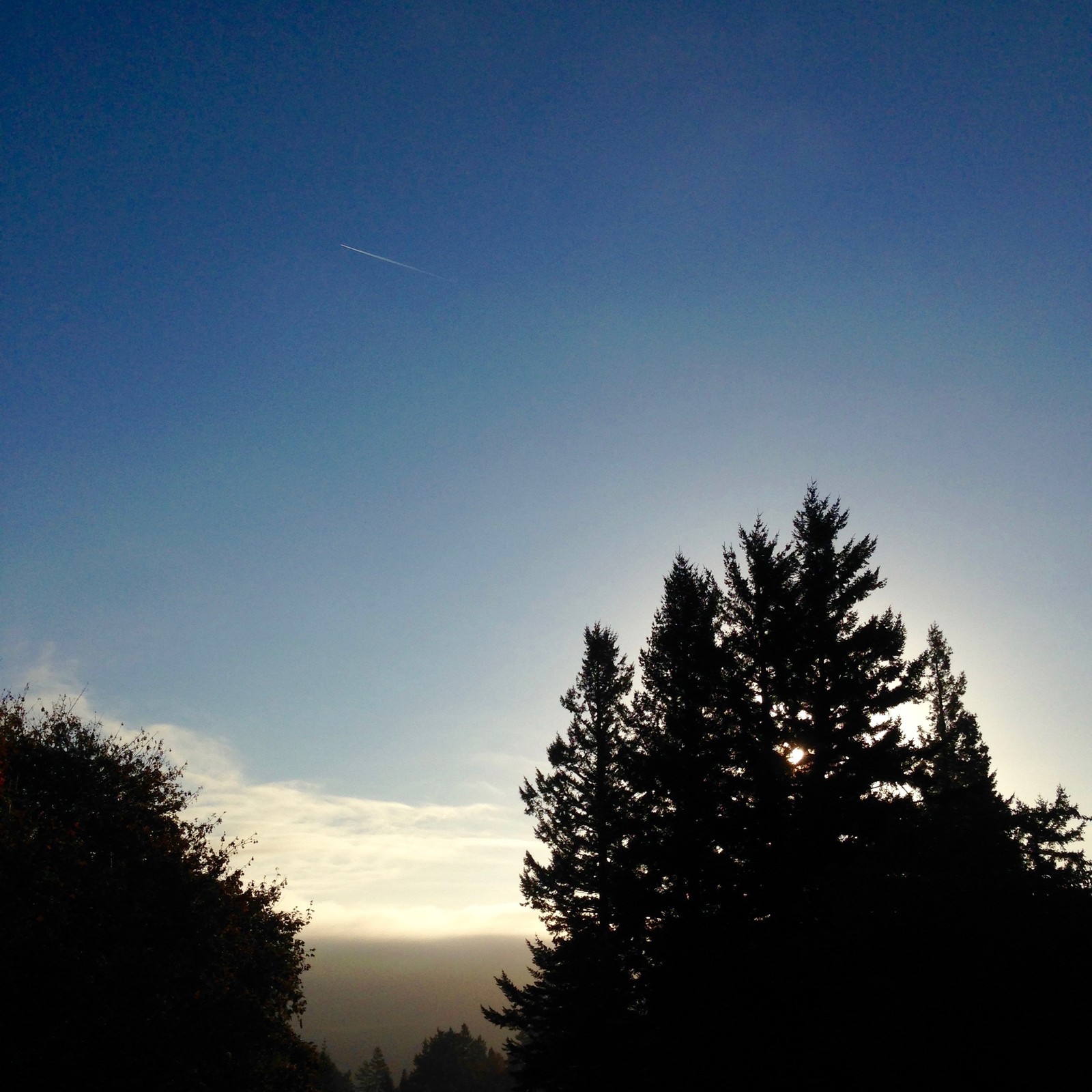 View from Council Crest toward Mt. Hood, which is NOT visible