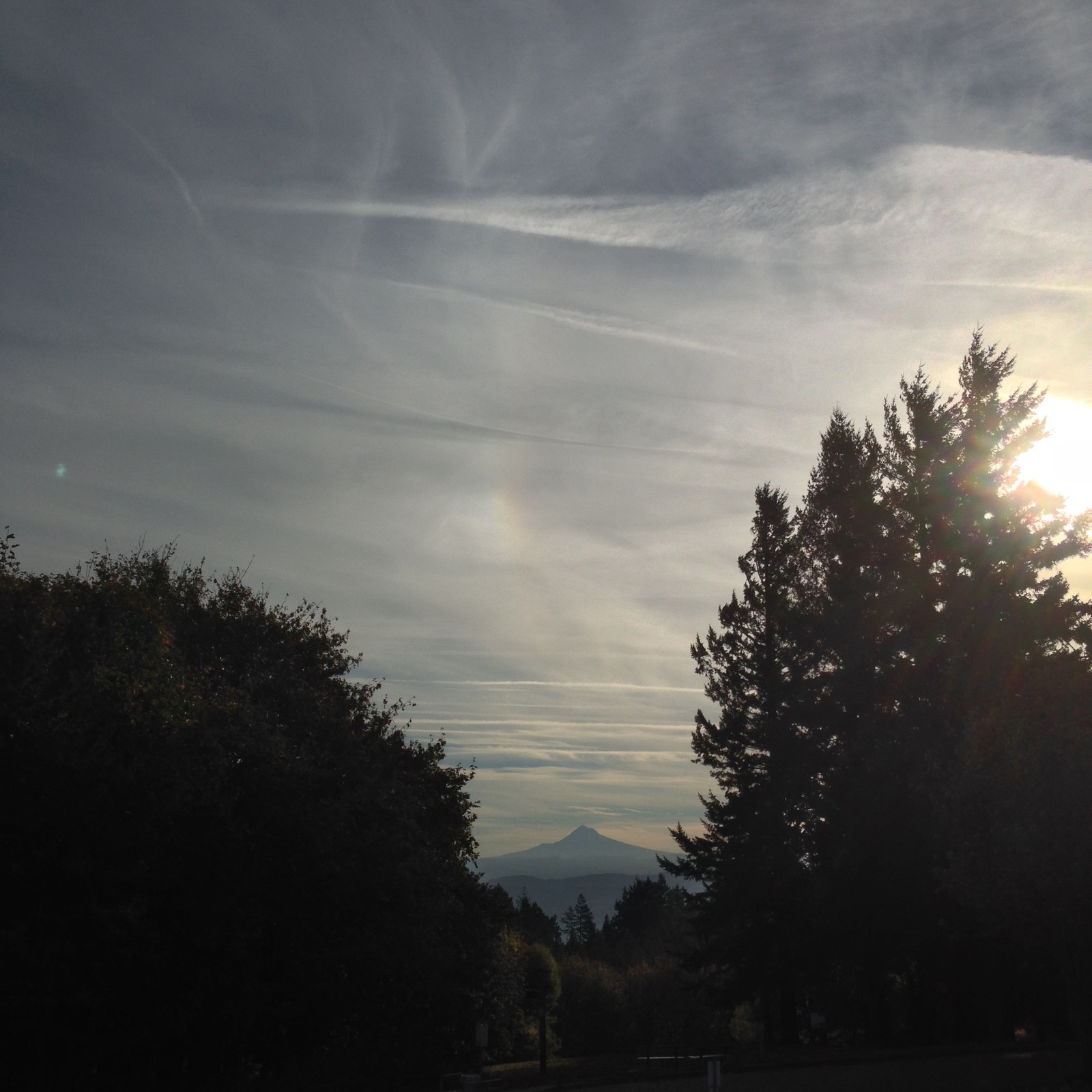 View from Council Crest toward Mt. Hood, which is visible