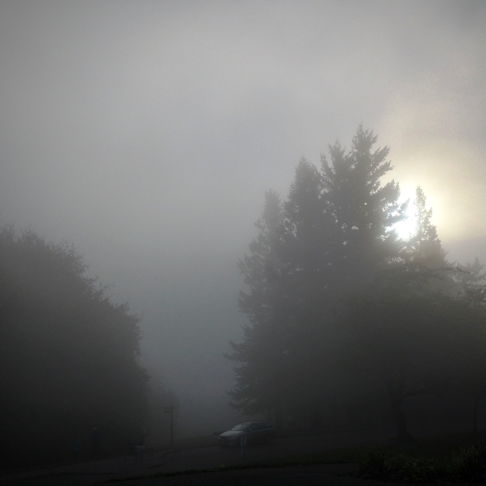 View from Council Crest toward Mt. Hood, which is NOT visible