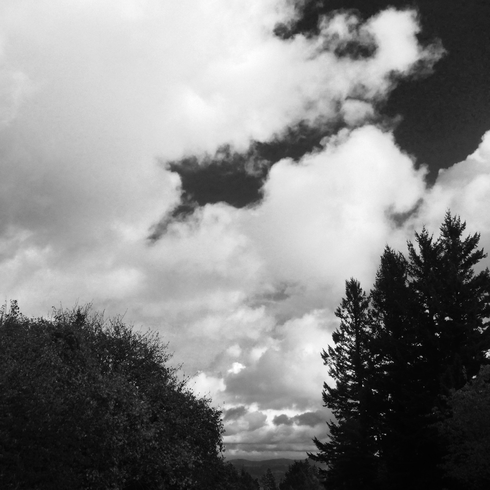View from Council Crest toward Mt. Hood, which is NOT visible