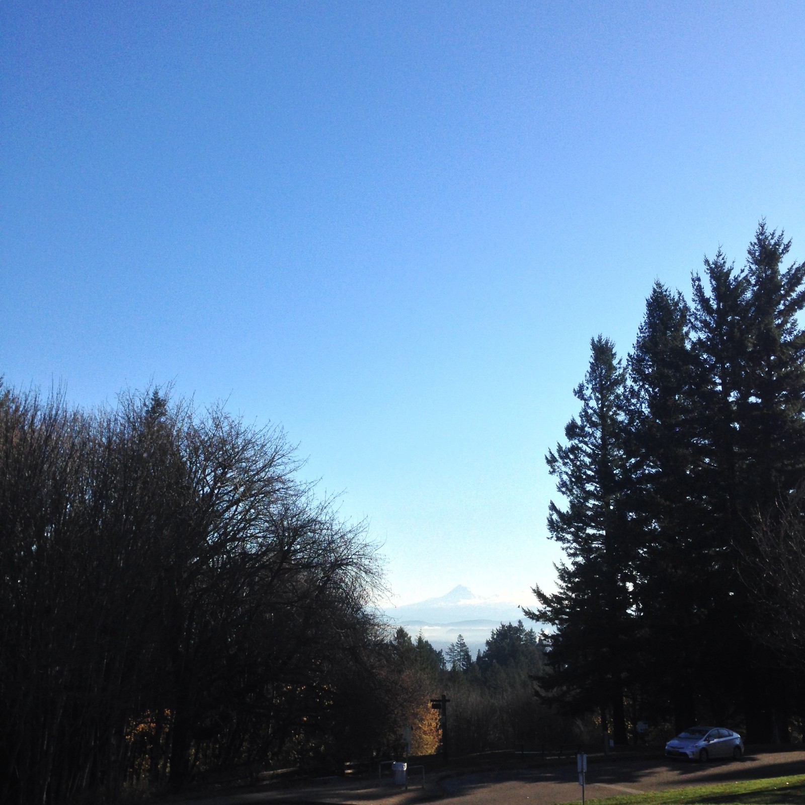 View from Council Crest toward Mt. Hood, which is visible