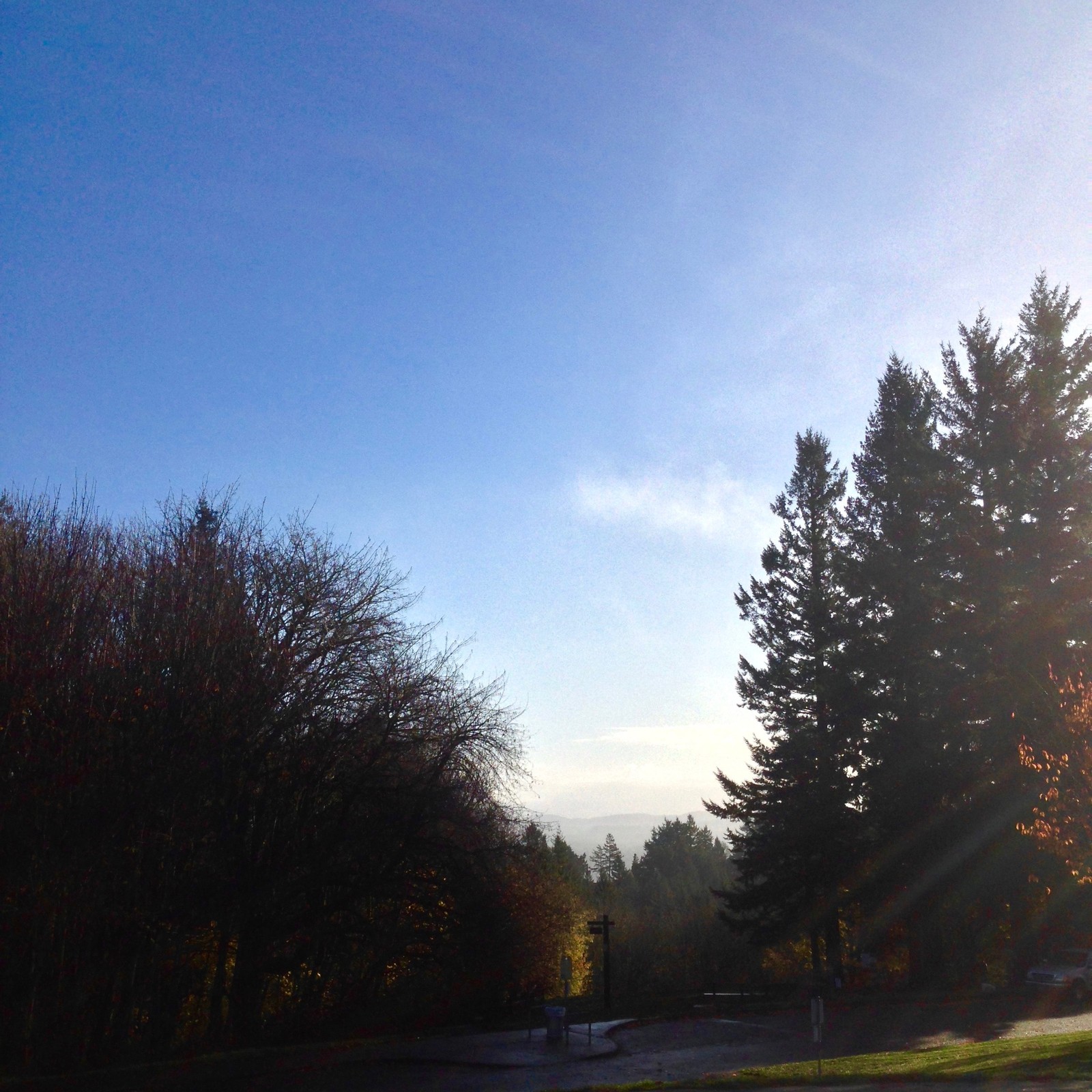 View from Council Crest toward Mt. Hood, which is NOT visible