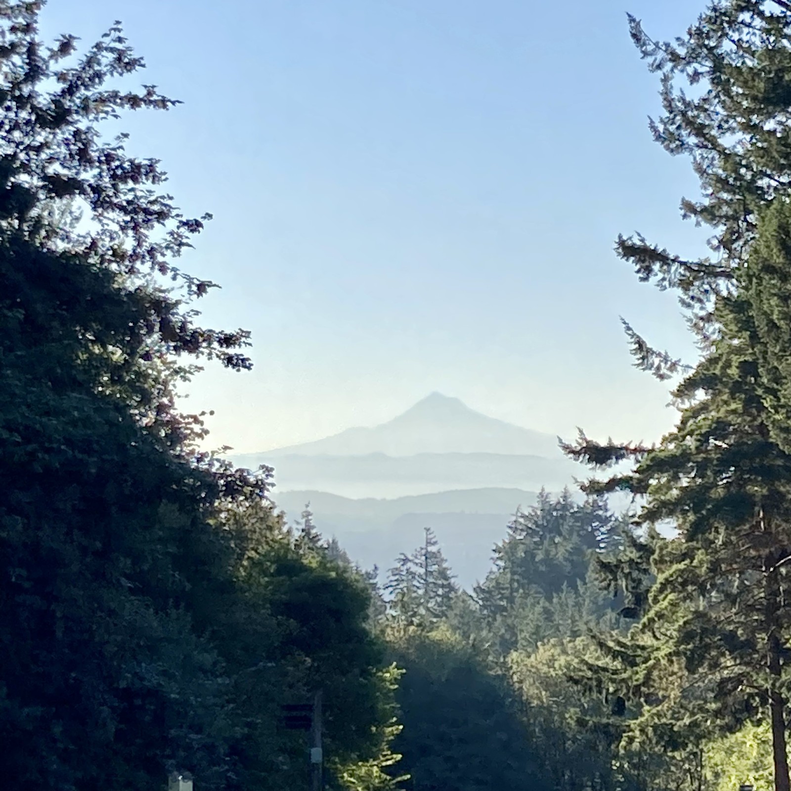 View from Council Crest toward Mt. Hood, which is visible