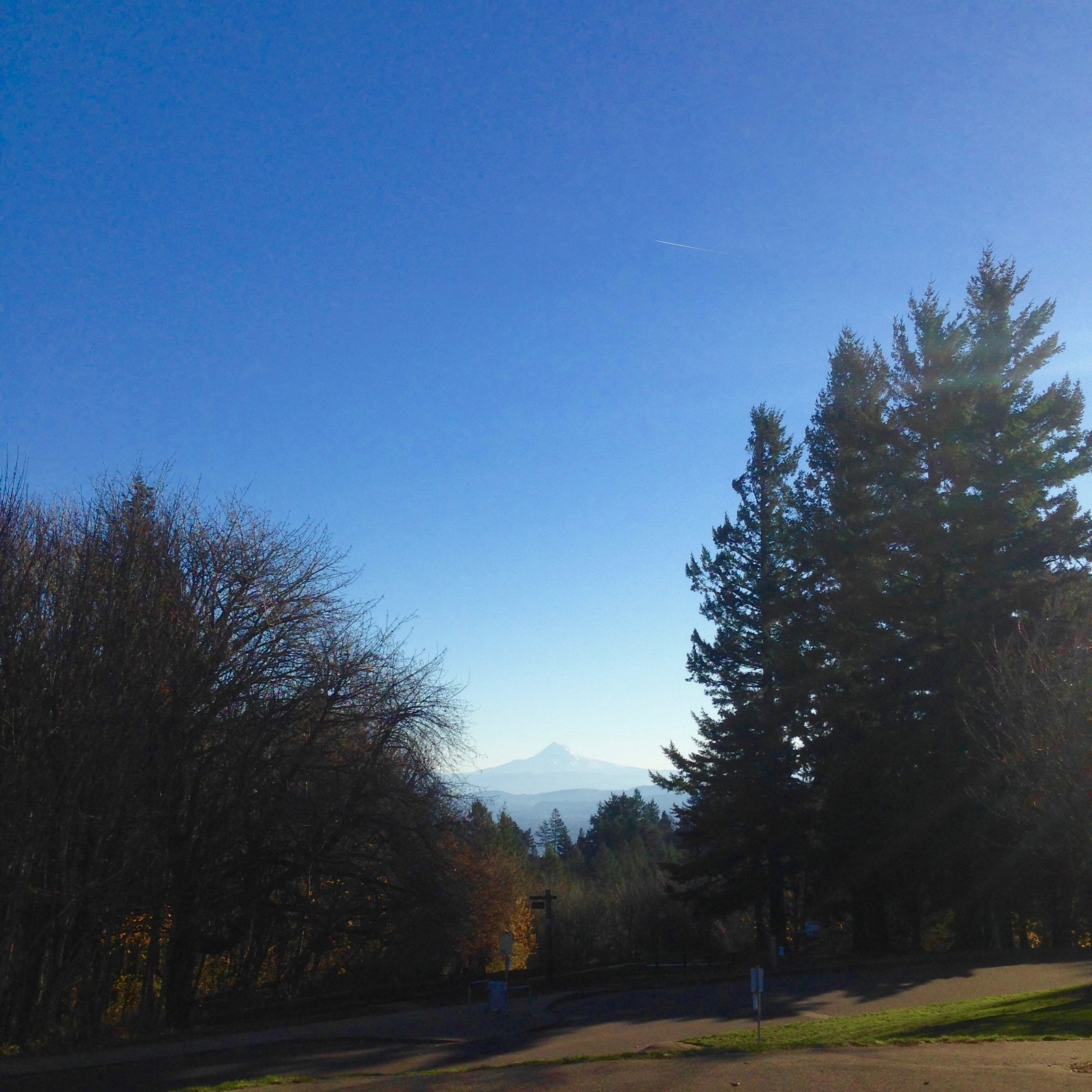 View from Council Crest toward Mt. Hood, which is visible