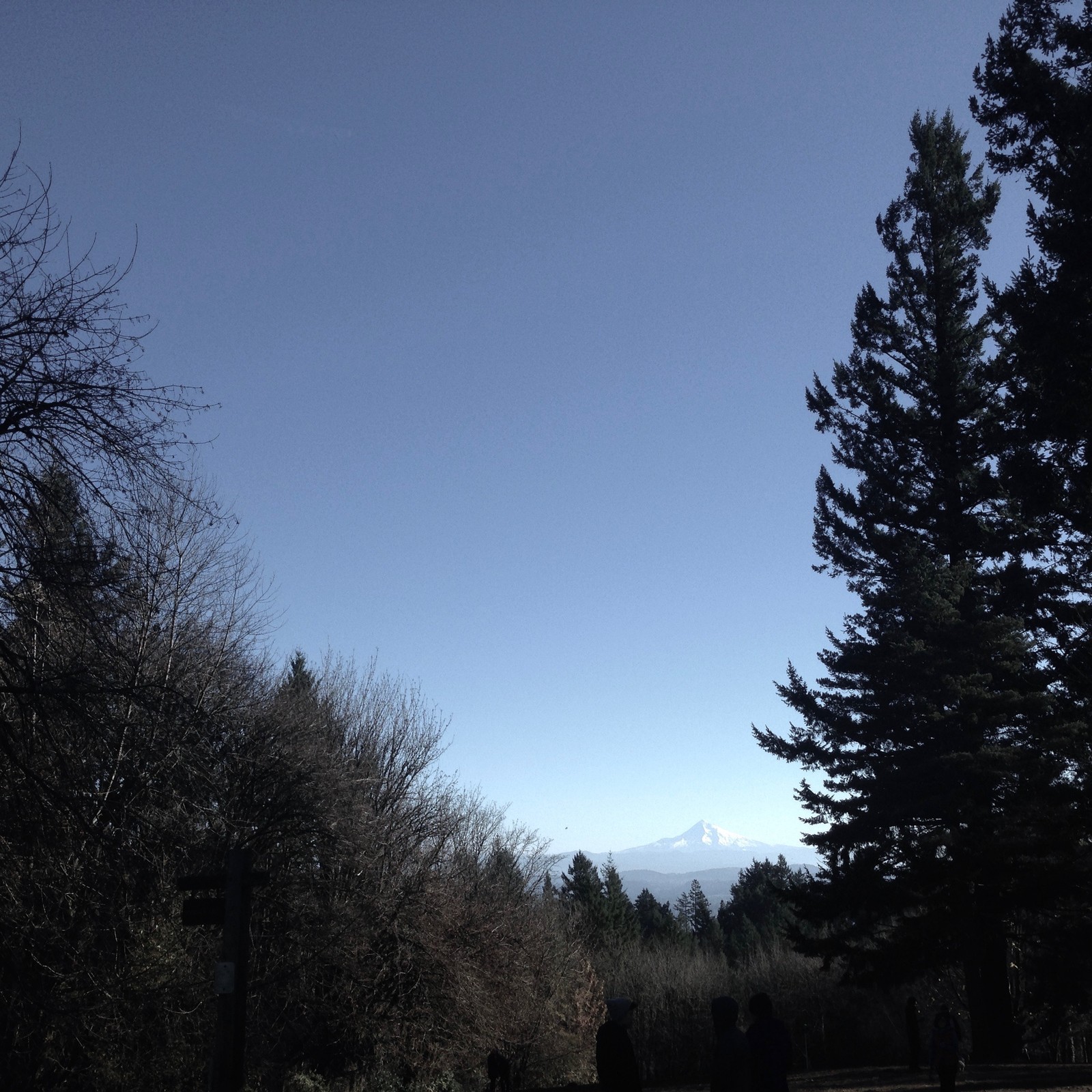 View from Council Crest toward Mt. Hood, which is visible