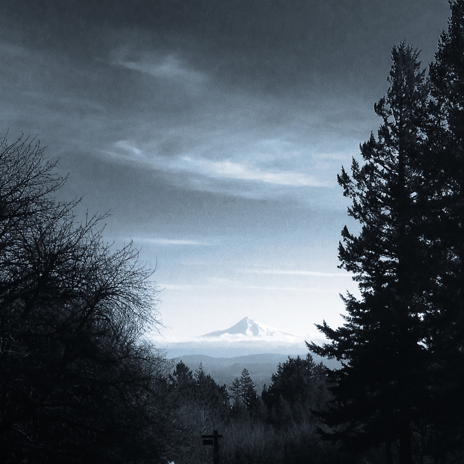 View from Council Crest toward Mt. Hood, which is visible