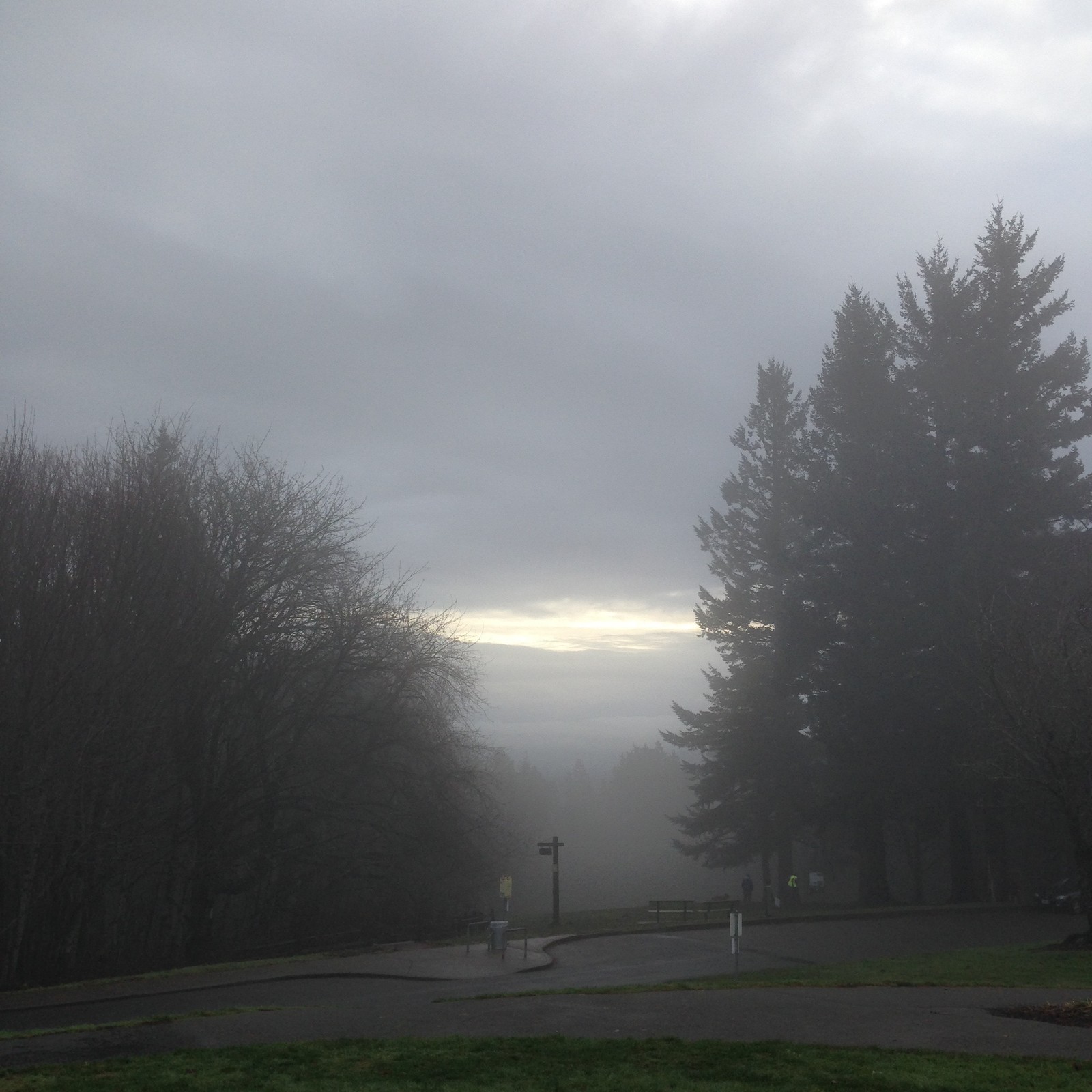 View from Council Crest toward Mt. Hood, which is NOT visible