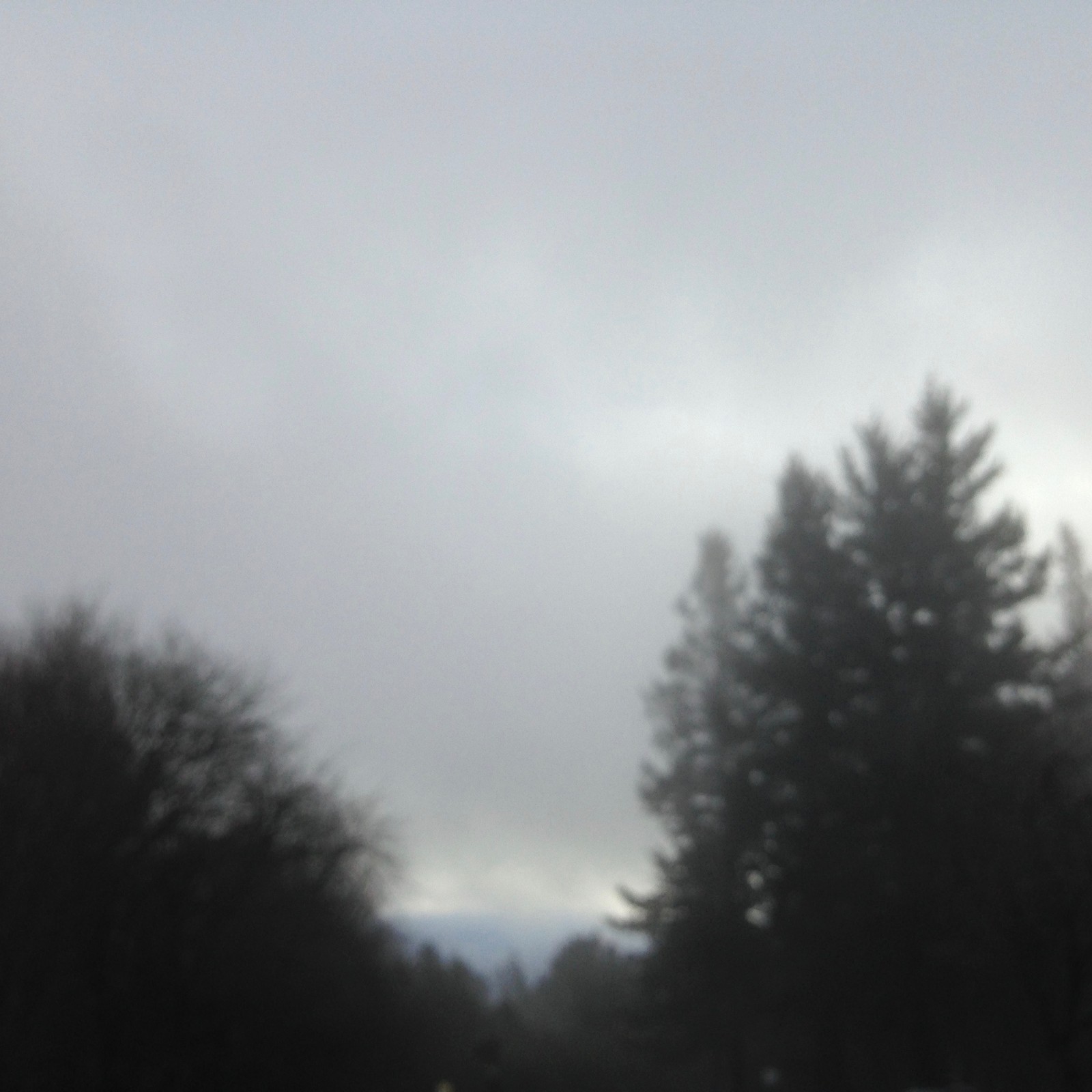 View from Council Crest toward Mt. Hood, which is NOT visible