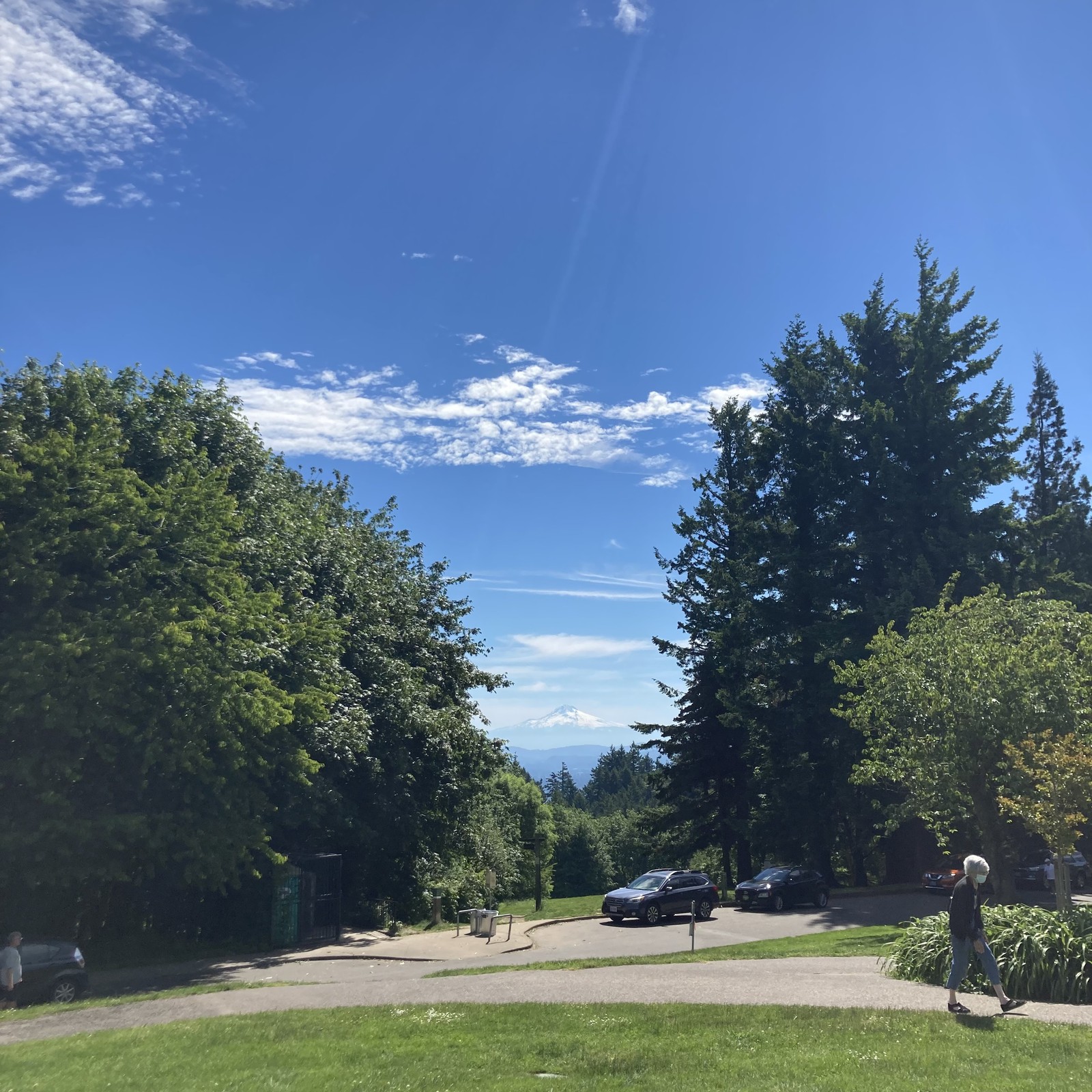 View from Council Crest toward Mt. Hood, which is visible