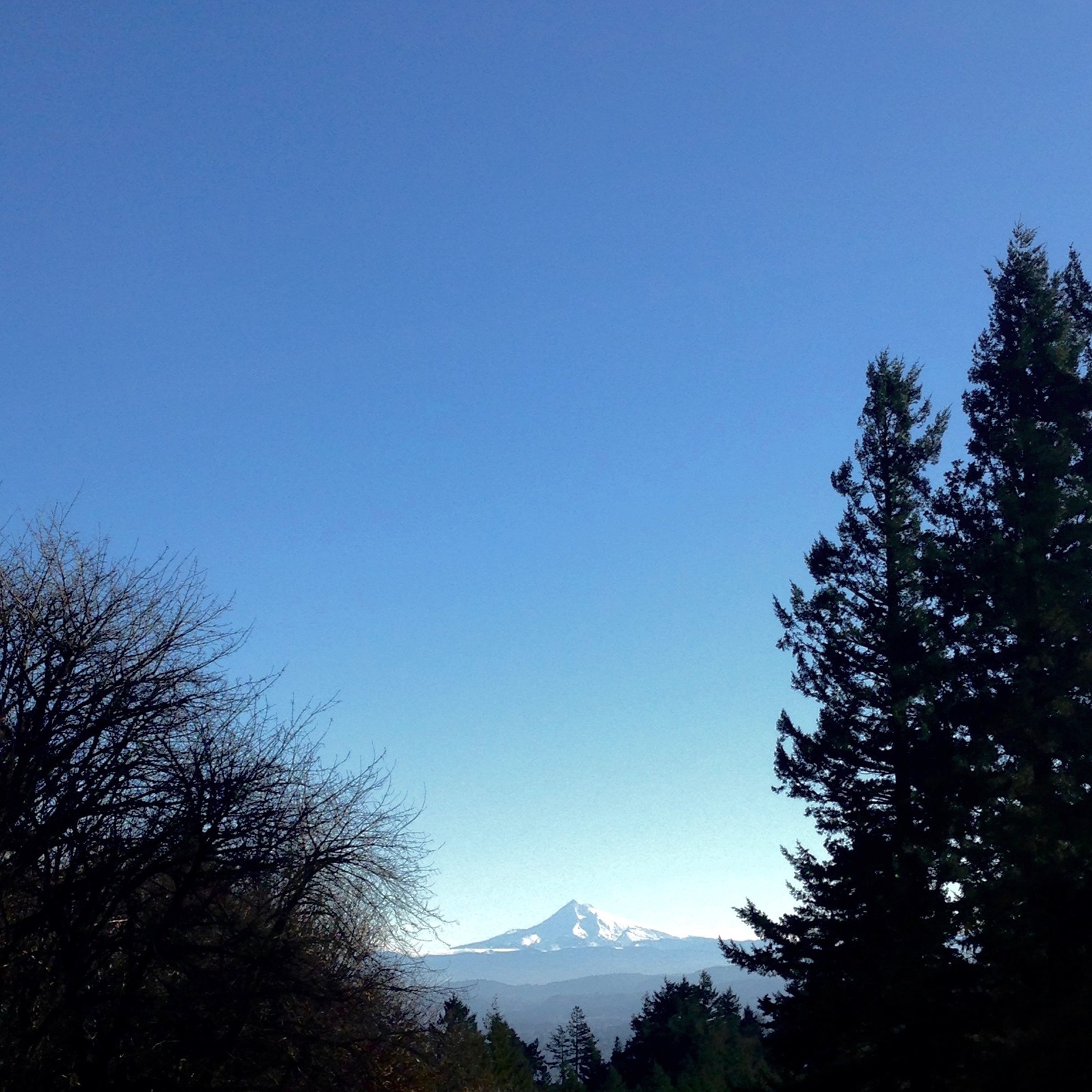View from Council Crest toward Mt. Hood, which is visible