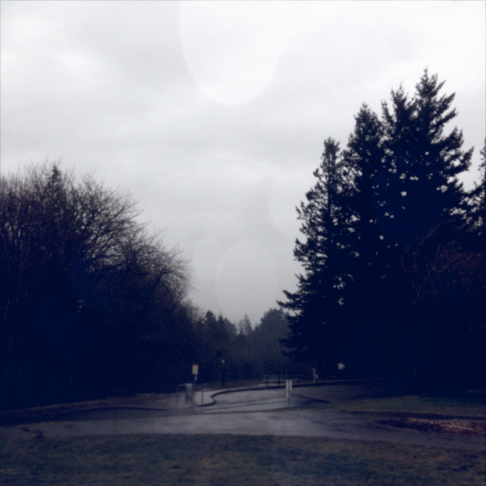 View from Council Crest toward Mt. Hood, which is NOT visible