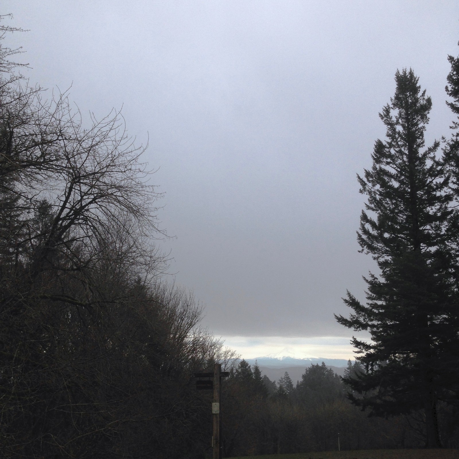 View from Council Crest toward Mt. Hood, which is visible