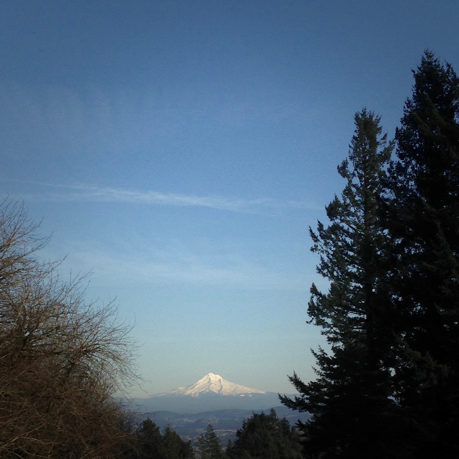 View from Council Crest toward Mt. Hood, which is visible