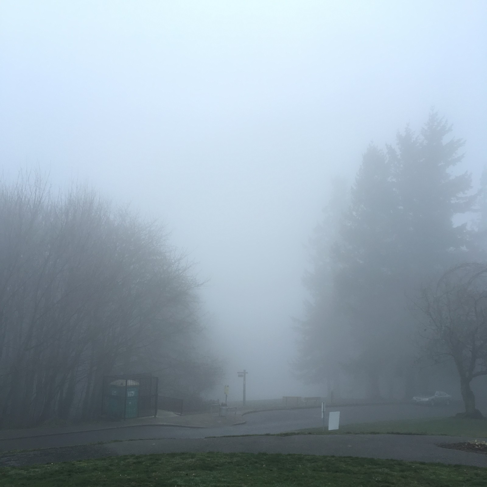 View from Council Crest toward Mt. Hood, which is NOT visible