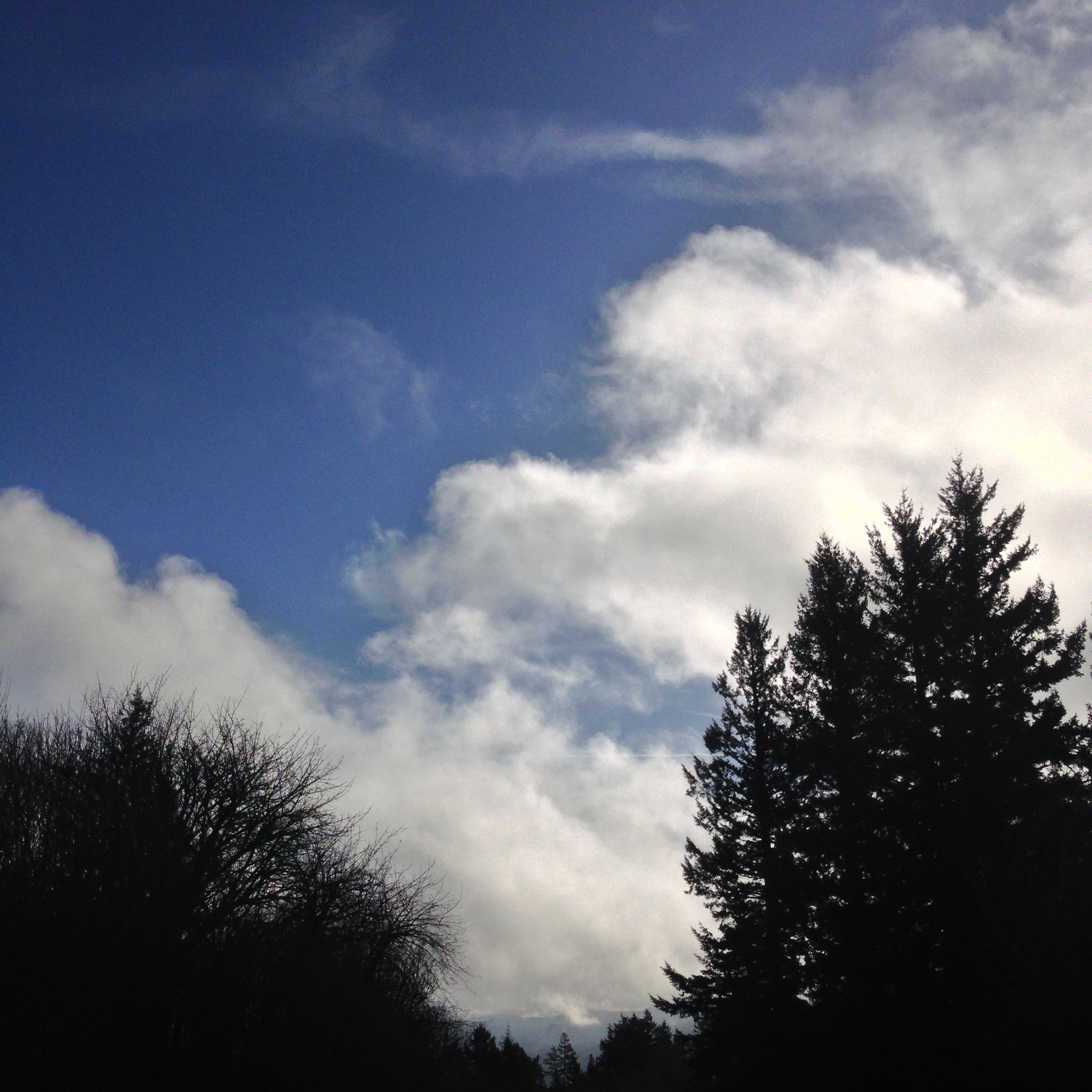 View from Council Crest toward Mt. Hood, which is NOT visible