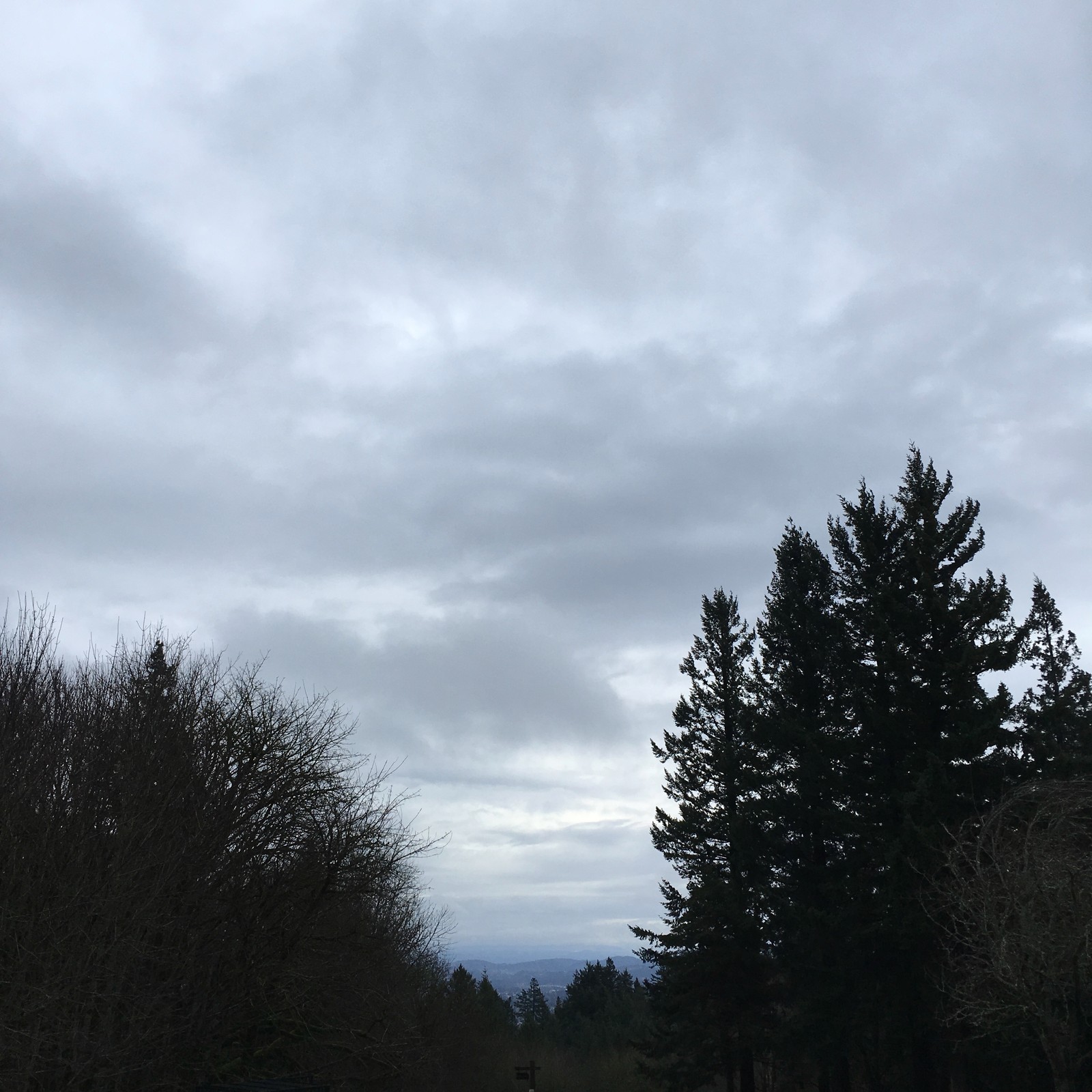 View from Council Crest toward Mt. Hood, which is NOT visible