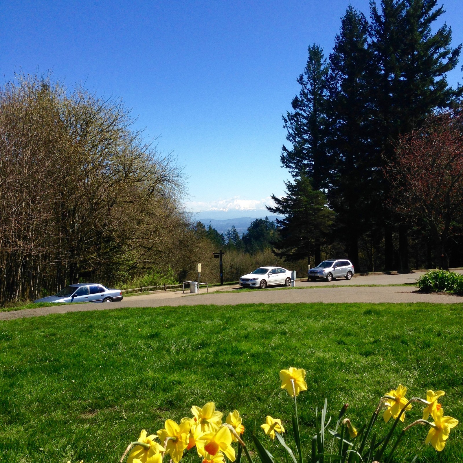 View from Council Crest toward Mt. Hood, which is visible