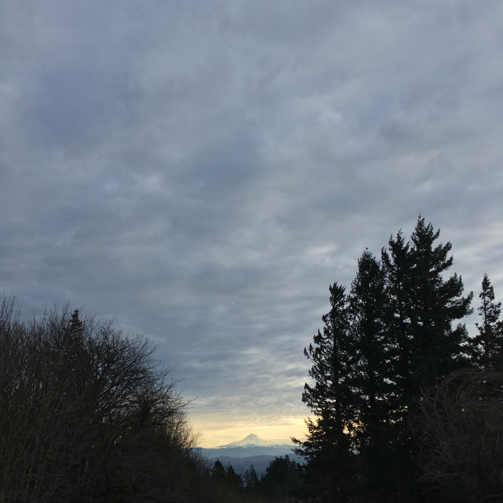 View from Council Crest toward Mt. Hood, which is visible