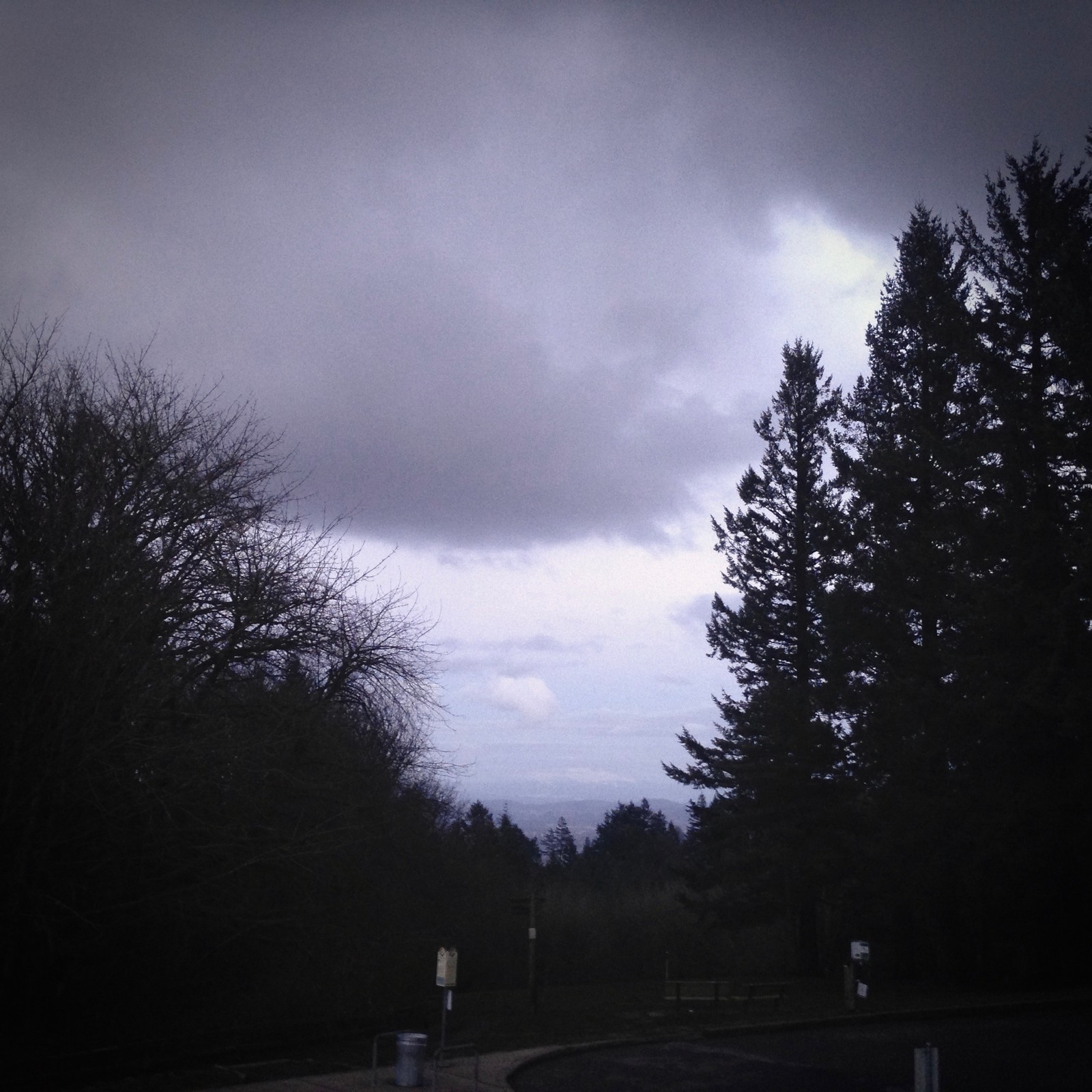View from Council Crest toward Mt. Hood, which is visible