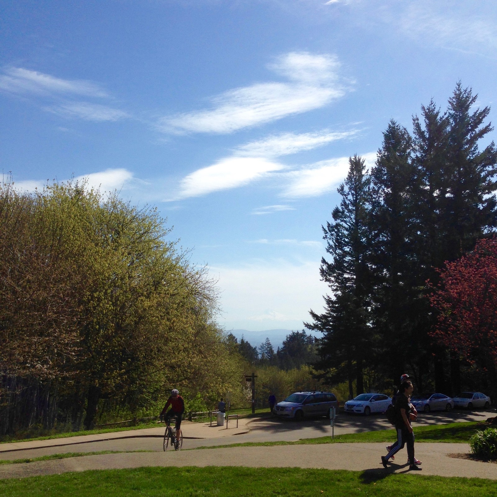 View from Council Crest toward Mt. Hood, which is visible