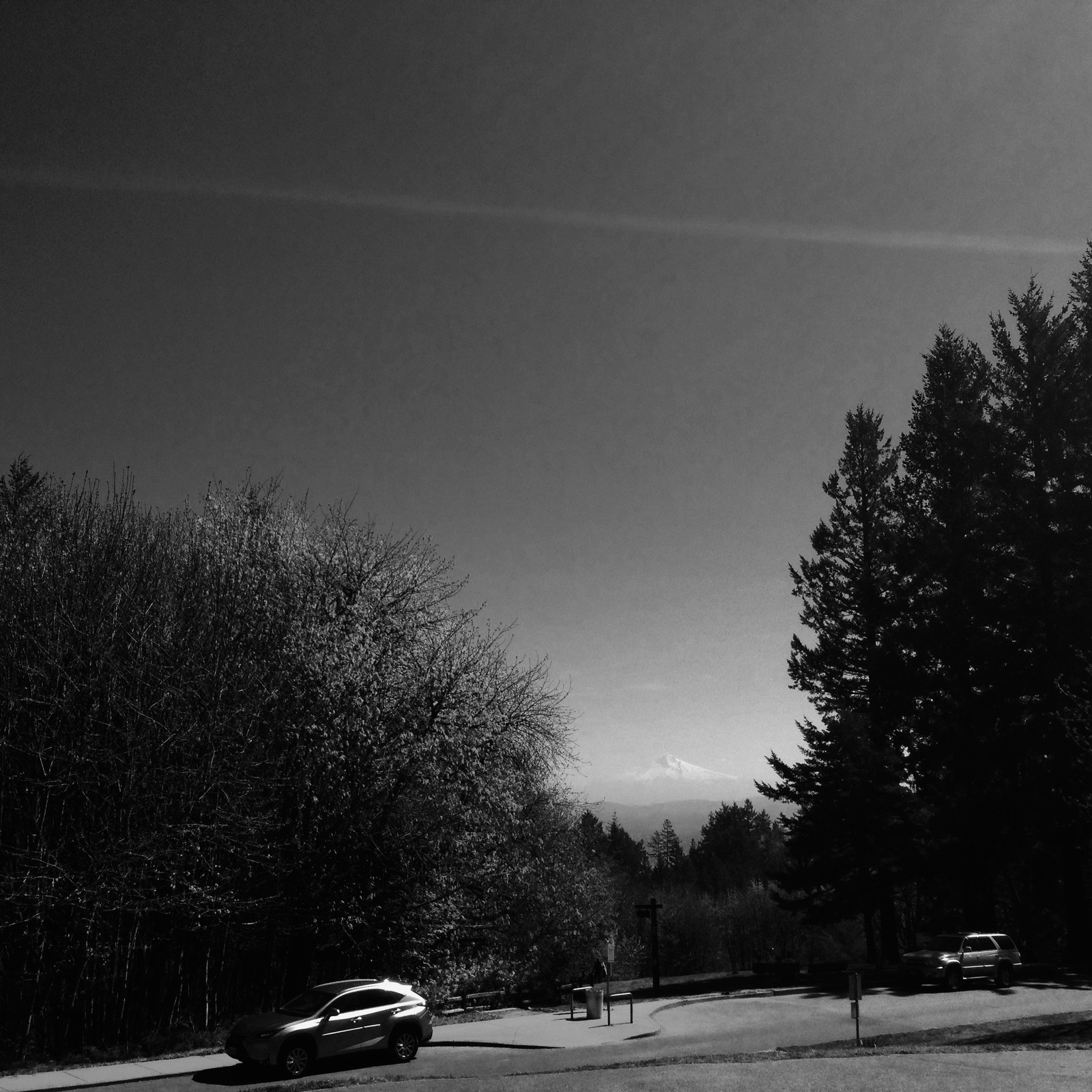 View from Council Crest toward Mt. Hood, which is visible
