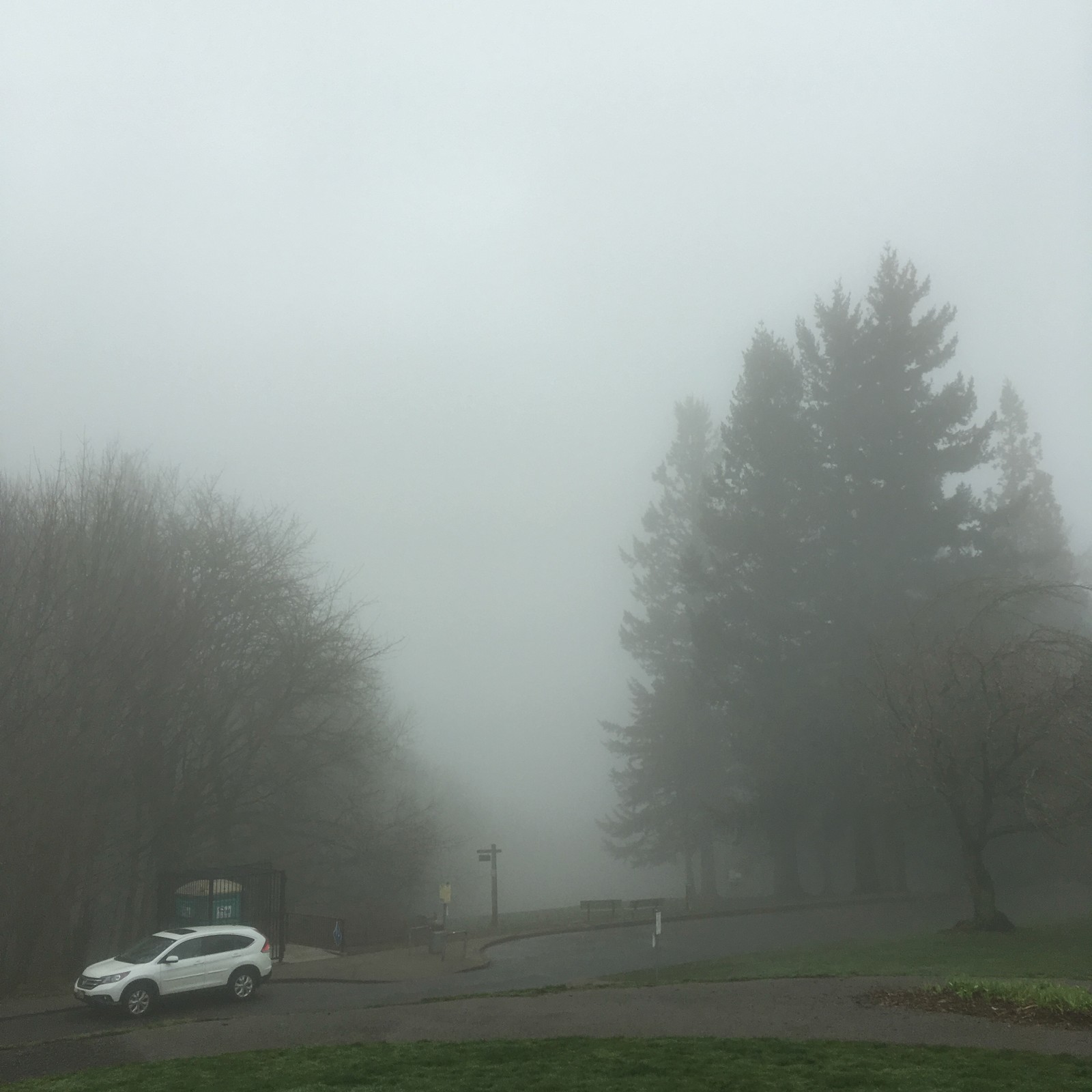 View from Council Crest toward Mt. Hood, which is NOT visible