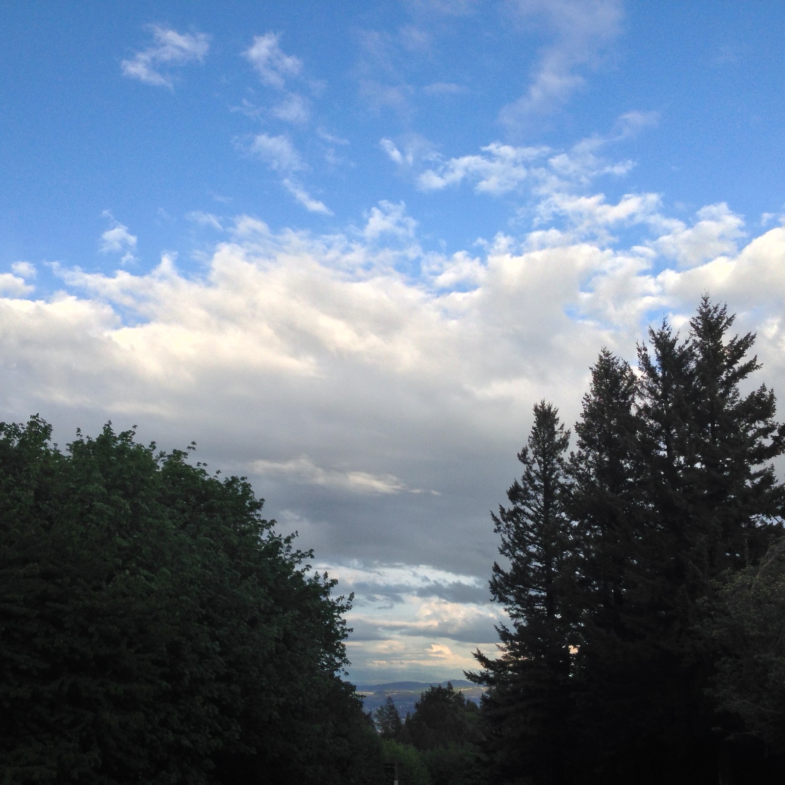 View from Council Crest toward Mt. Hood, which is NOT visible