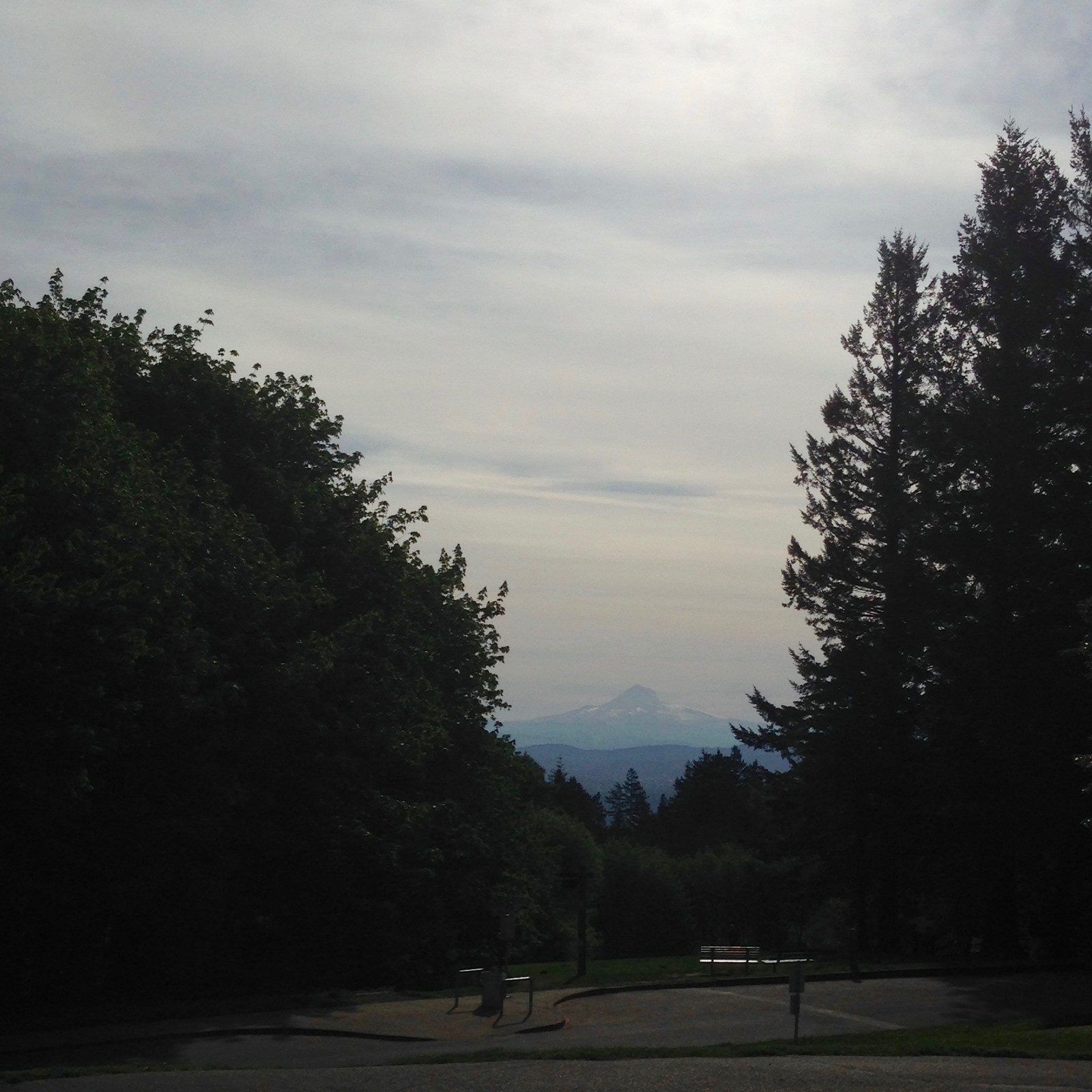 View from Council Crest toward Mt. Hood, which is visible