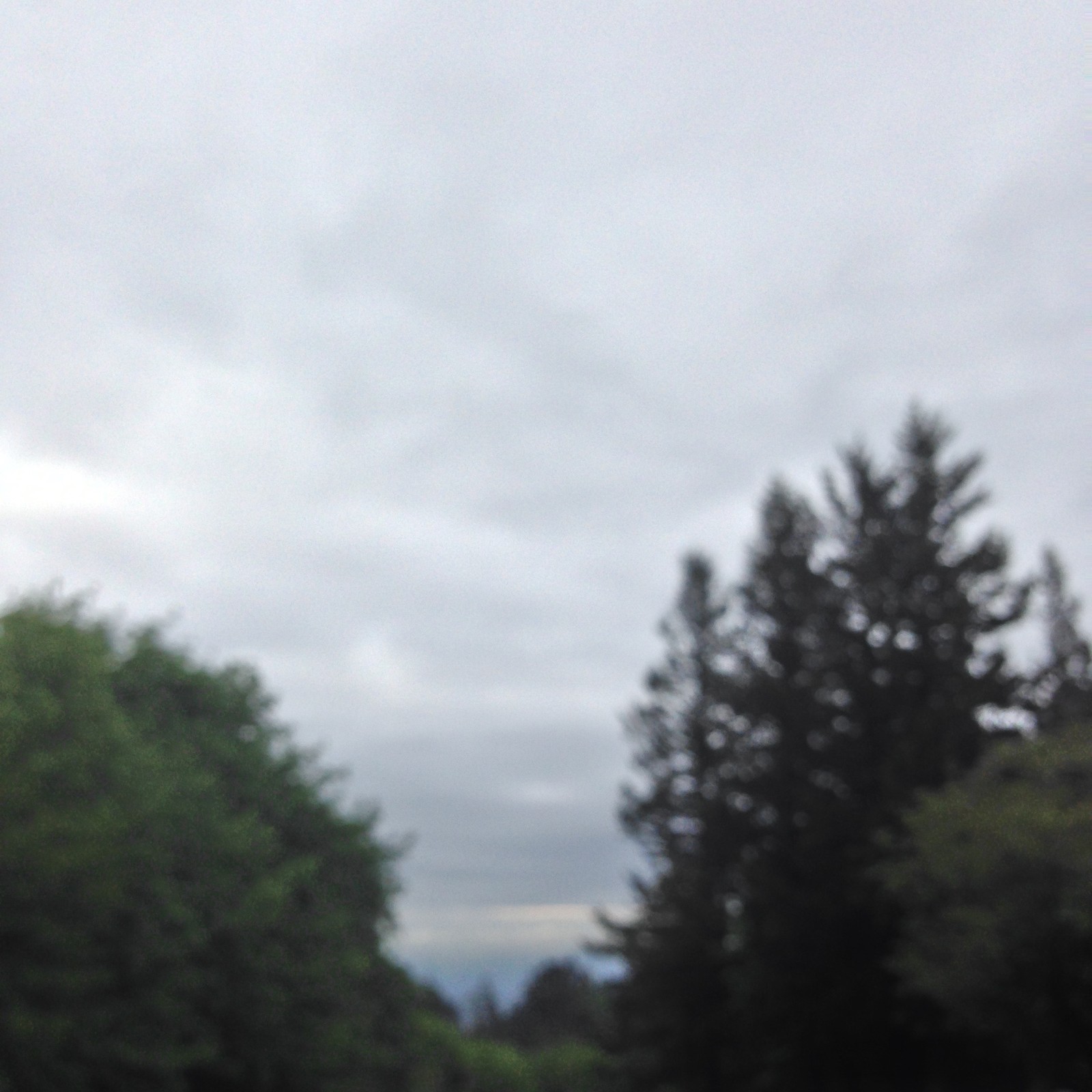 View from Council Crest toward Mt. Hood, which is NOT visible