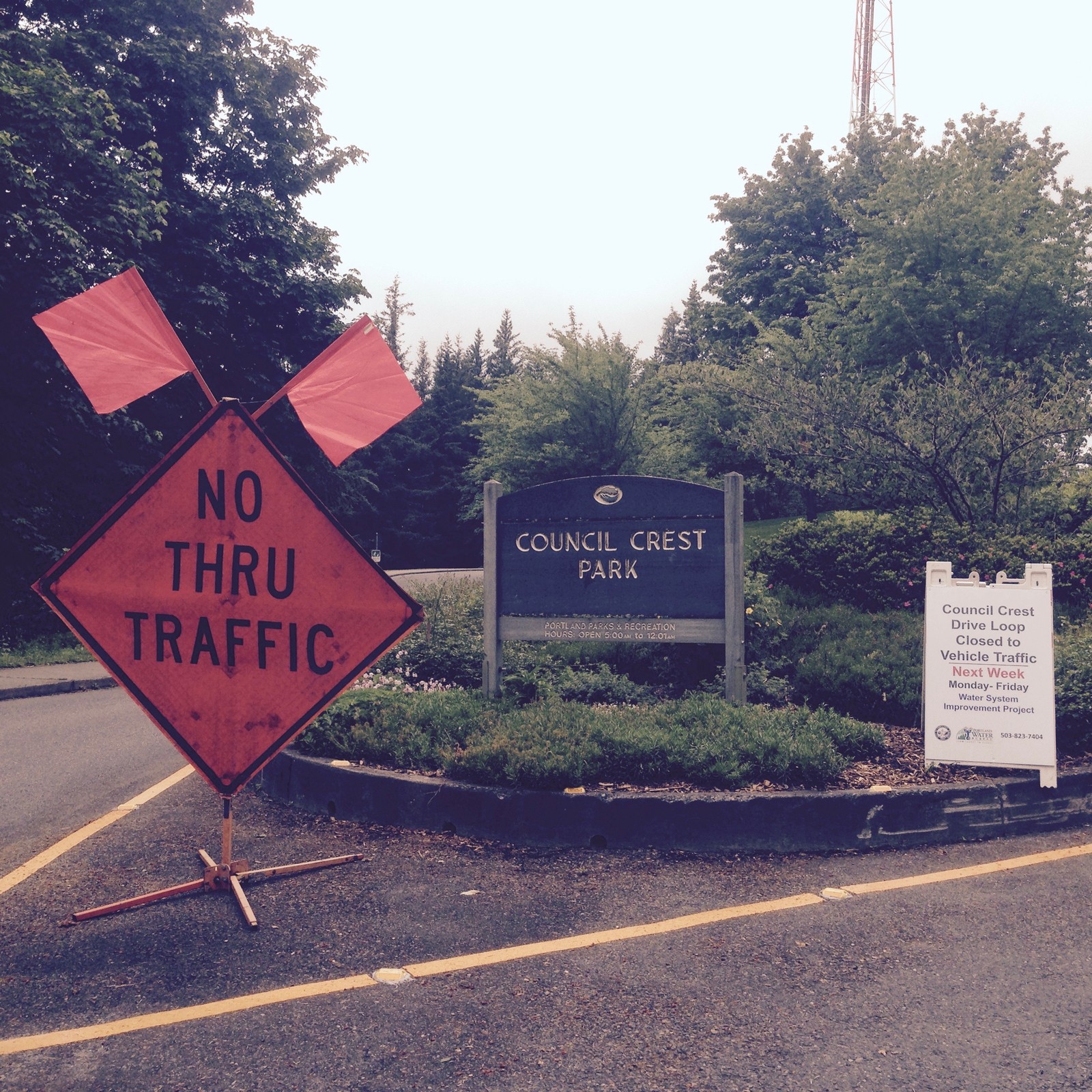 View from Council Crest toward Mt. Hood, which is NOT visible