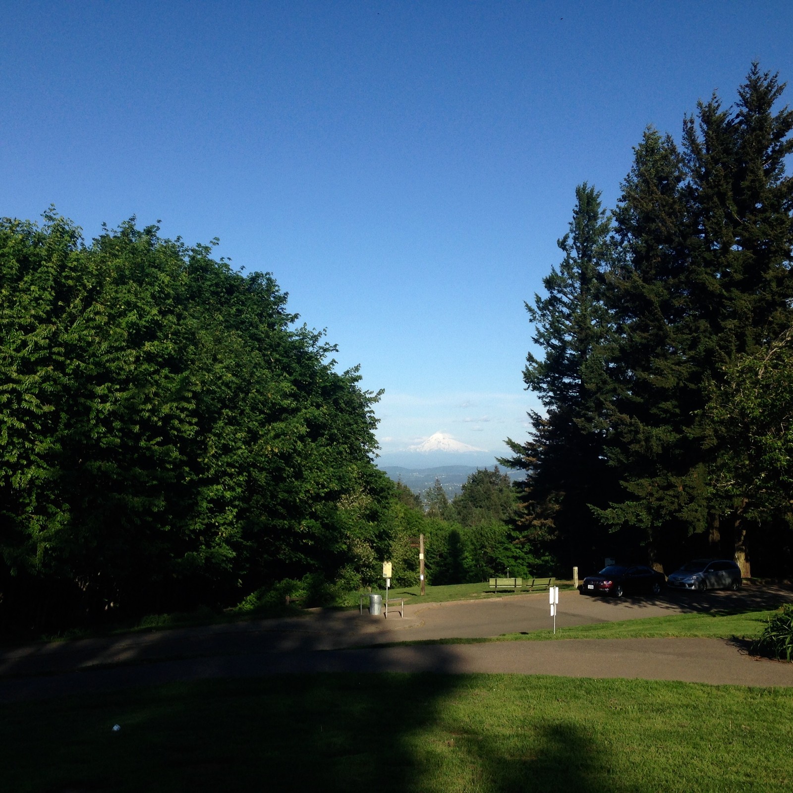 View from Council Crest toward Mt. Hood, which is visible