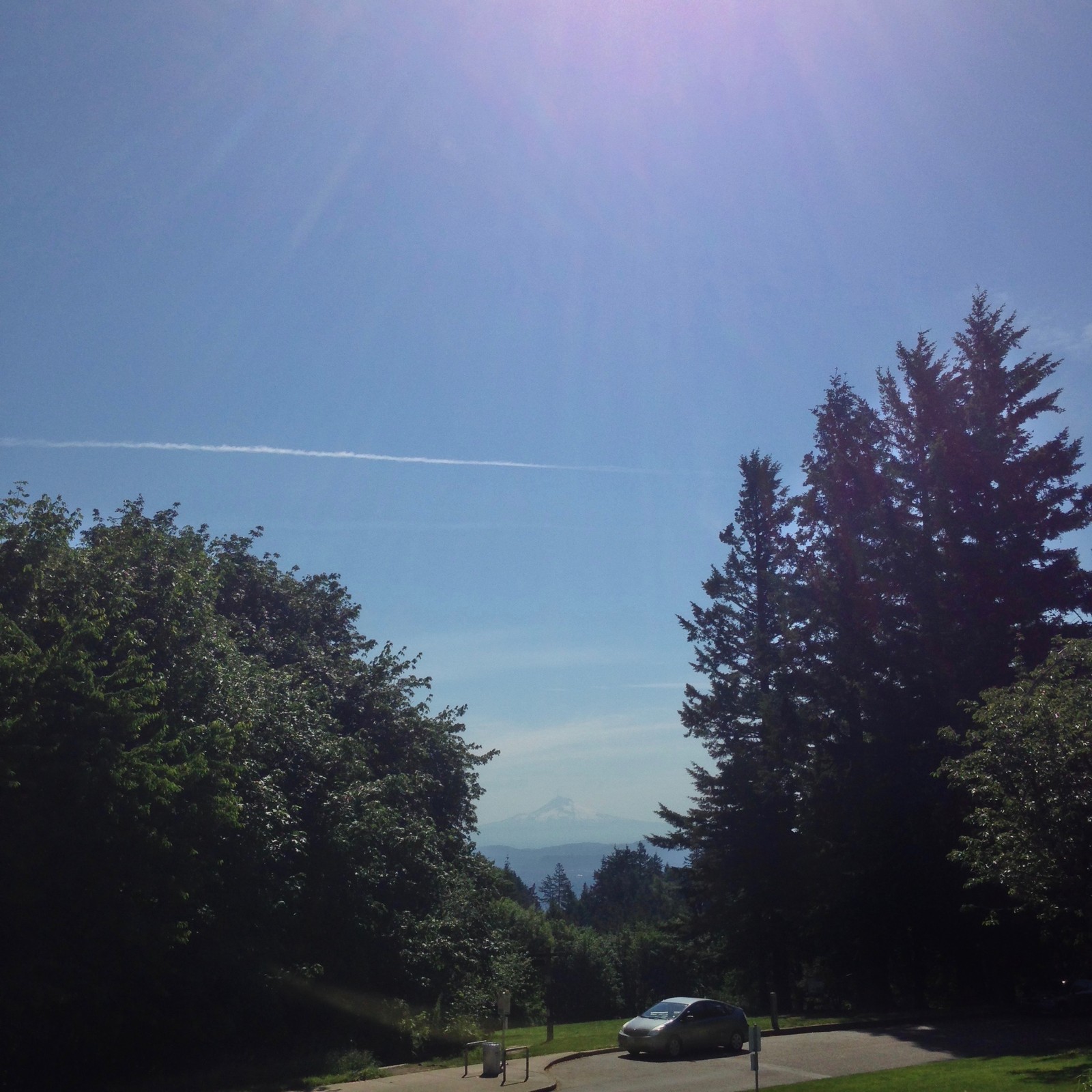 View from Council Crest toward Mt. Hood, which is visible