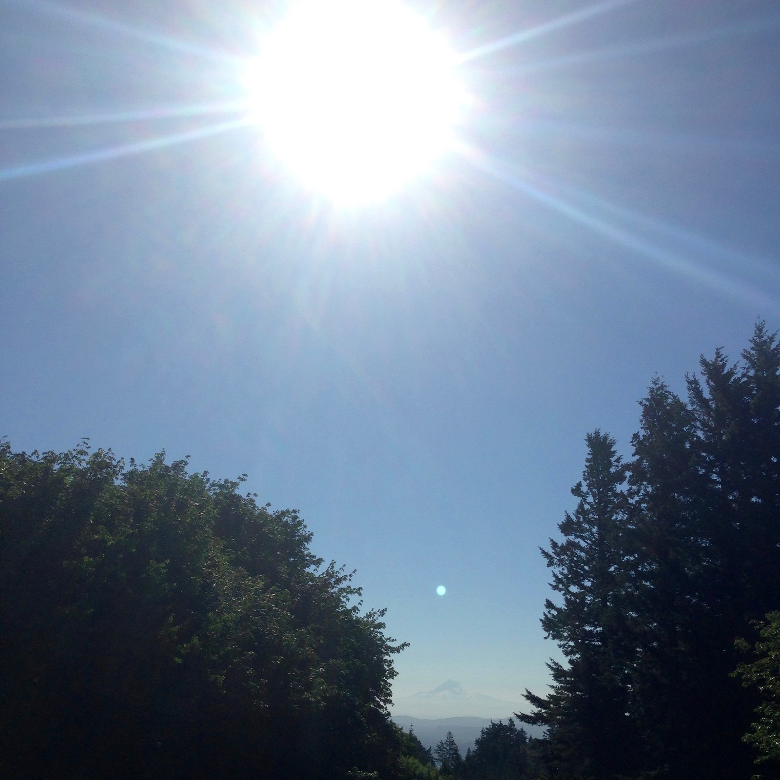 View from Council Crest toward Mt. Hood, which is visible