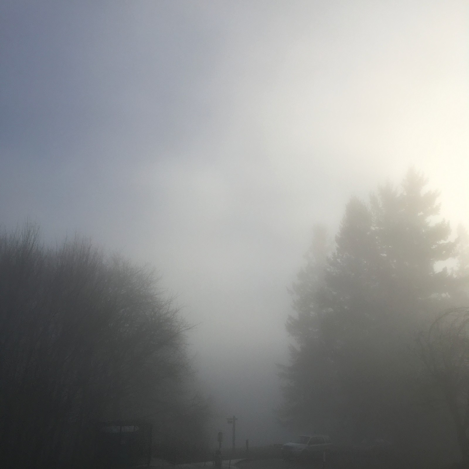 View from Council Crest toward Mt. Hood, which is NOT visible