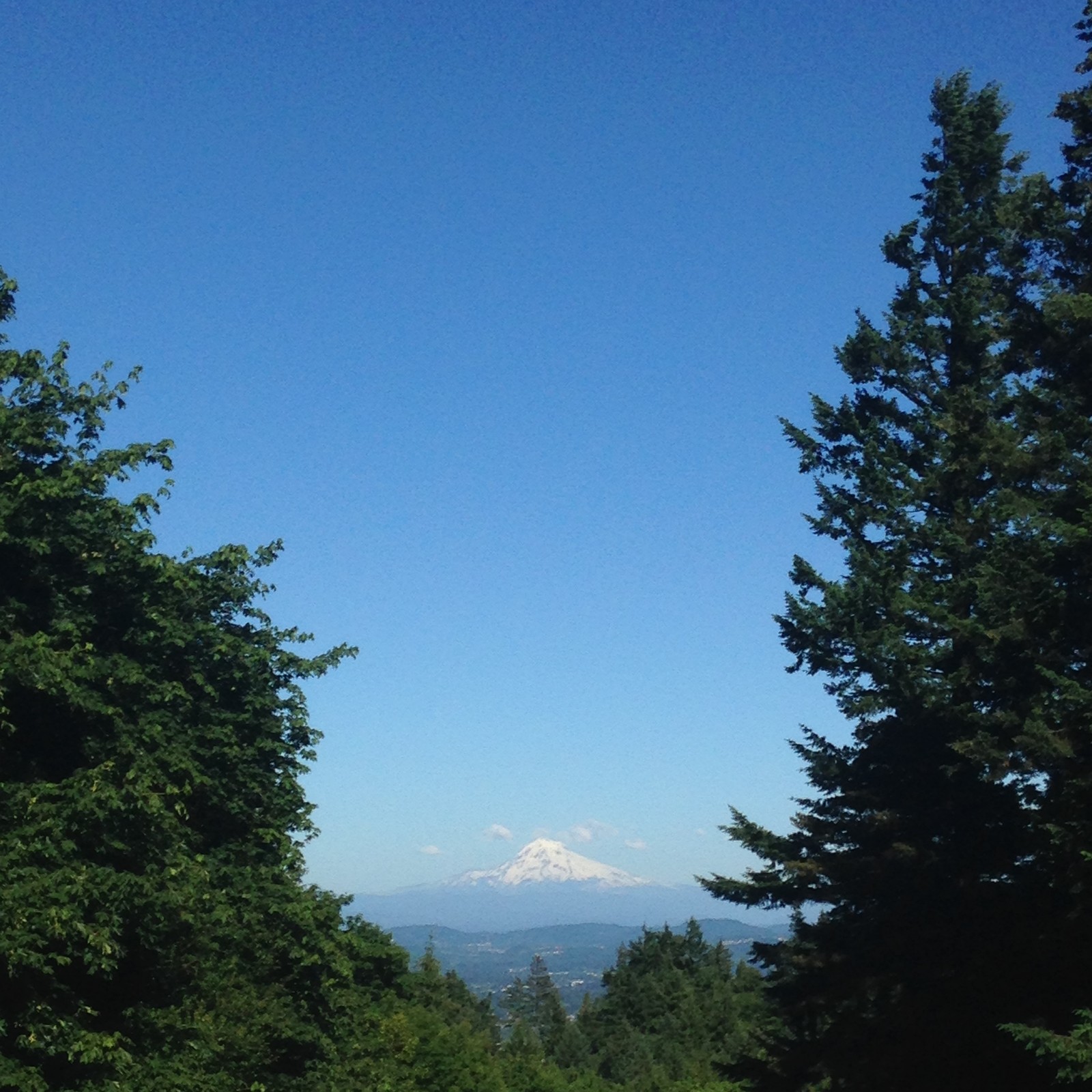 View from Council Crest toward Mt. Hood, which is visible