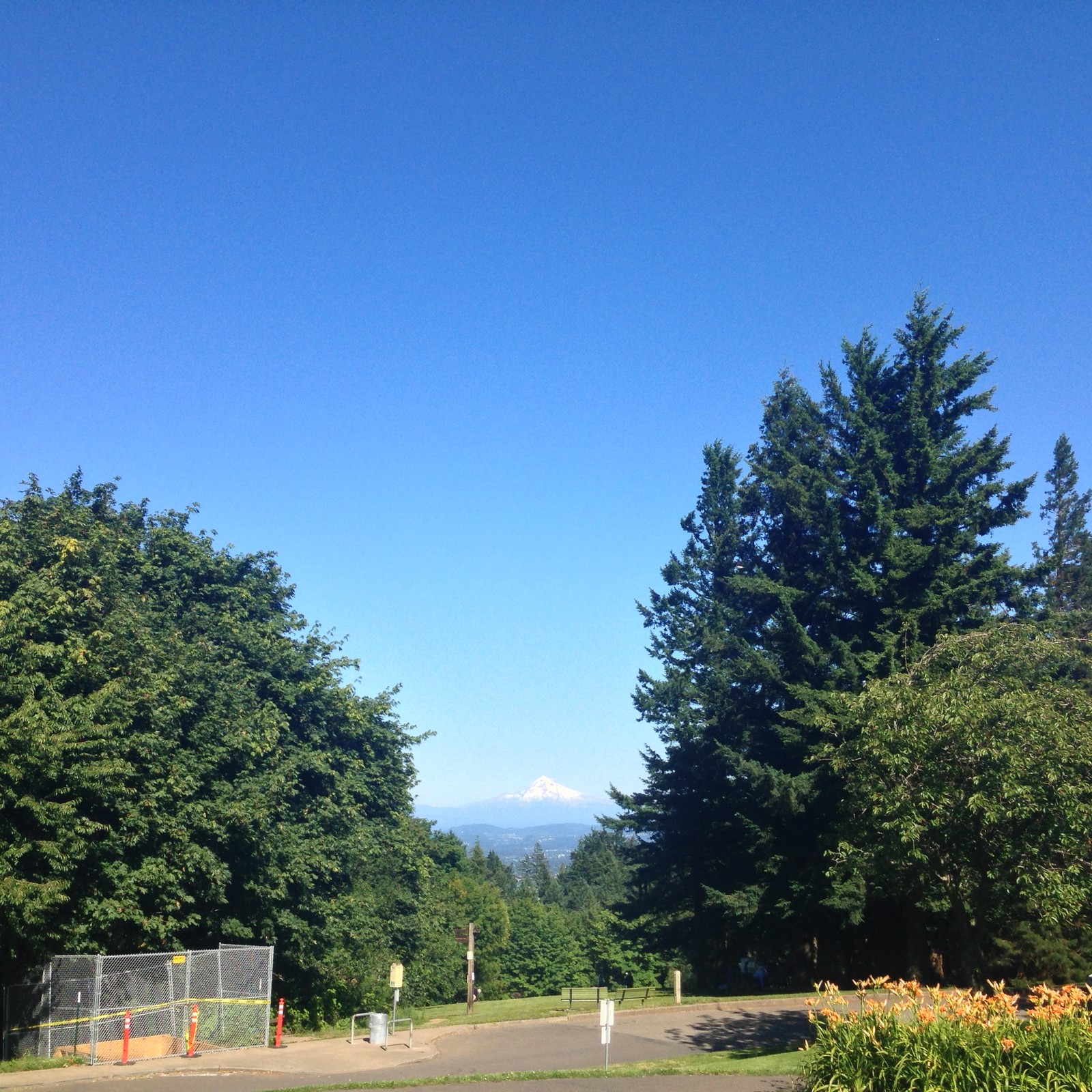 View from Council Crest toward Mt. Hood, which is visible