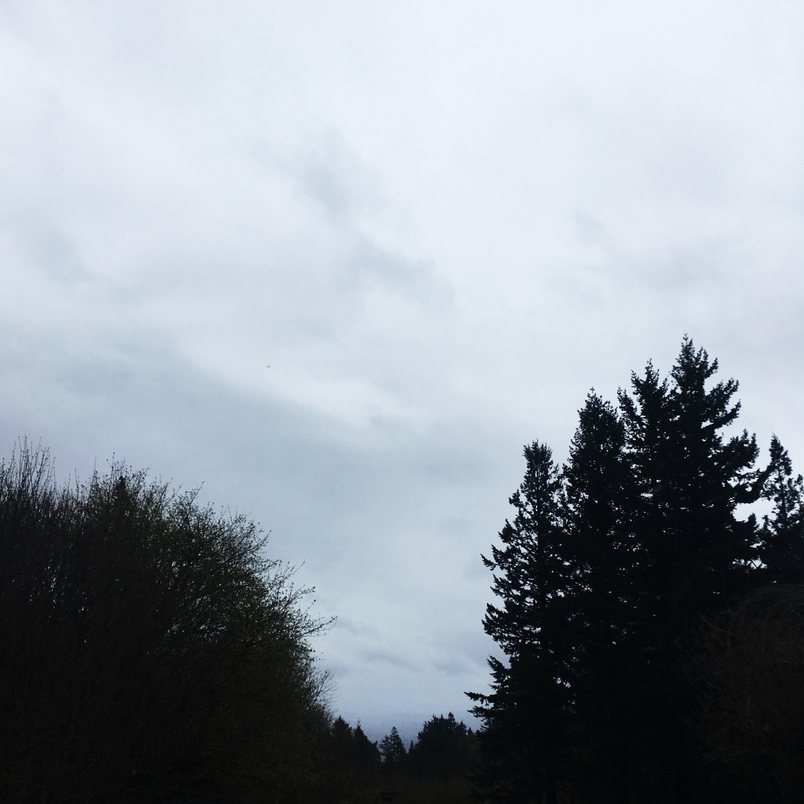 View from Council Crest toward Mt. Hood, which is NOT visible