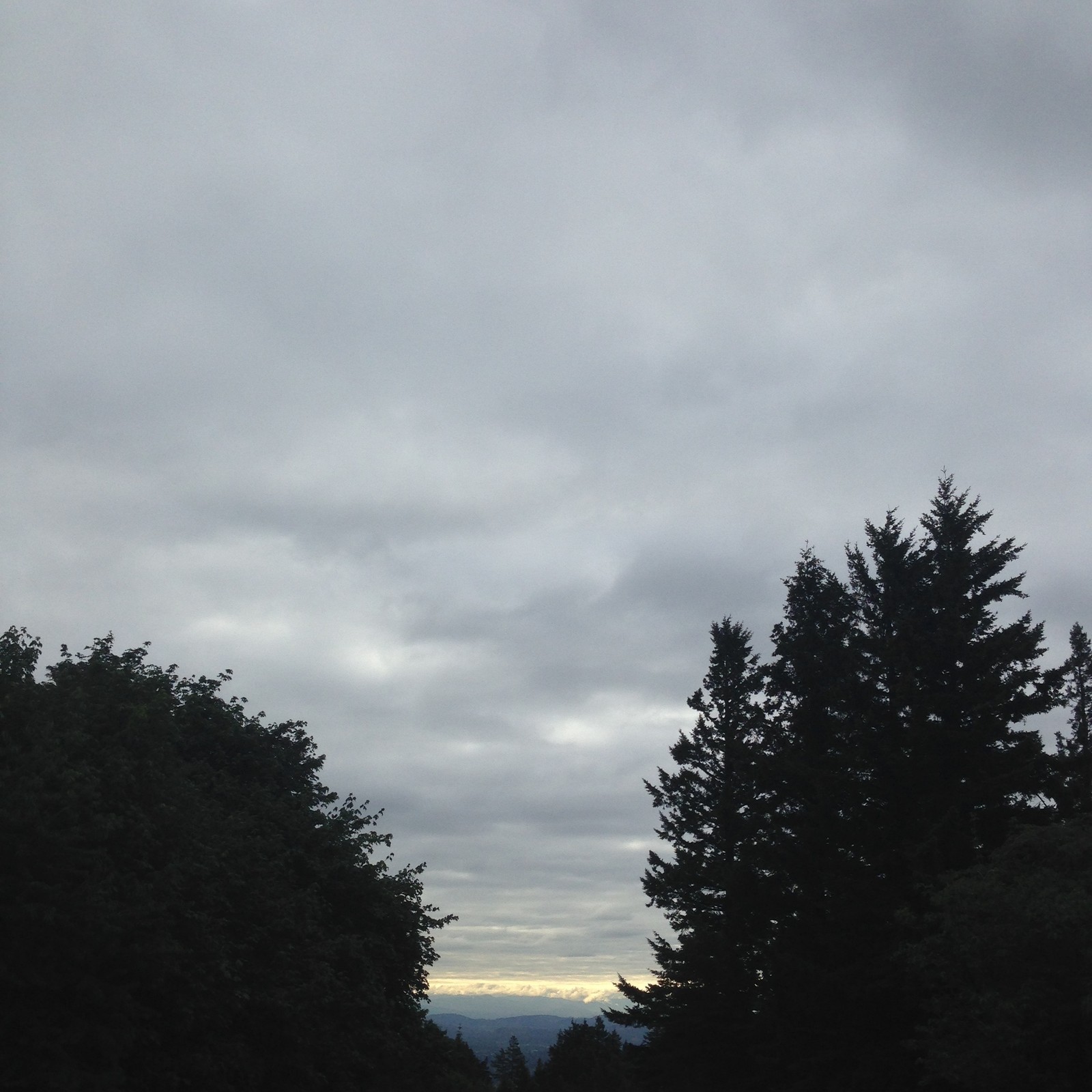 View from Council Crest toward Mt. Hood, which is NOT visible