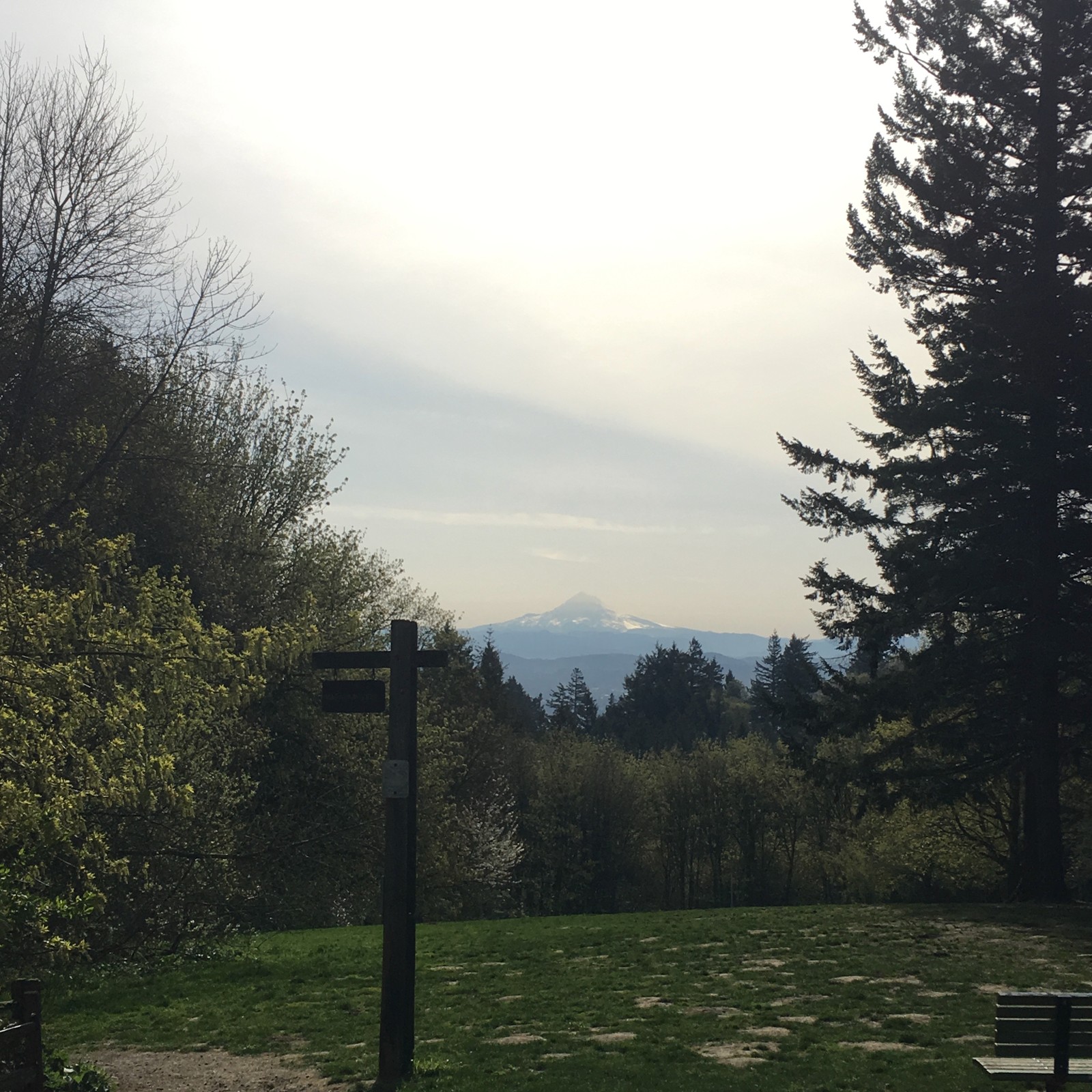 View from Council Crest toward Mt. Hood, which is visible
