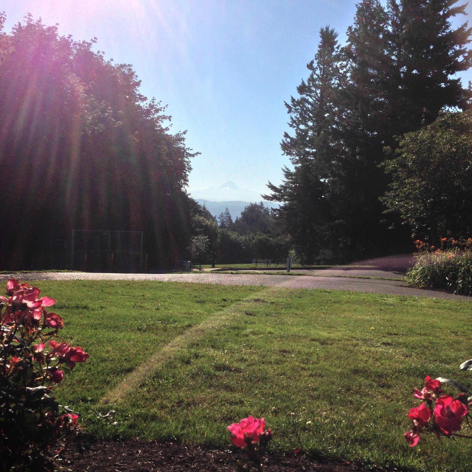 View from Council Crest toward Mt. Hood, which is visible