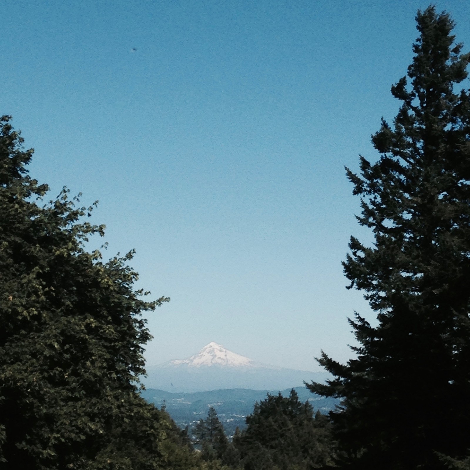 View from Council Crest toward Mt. Hood, which is visible