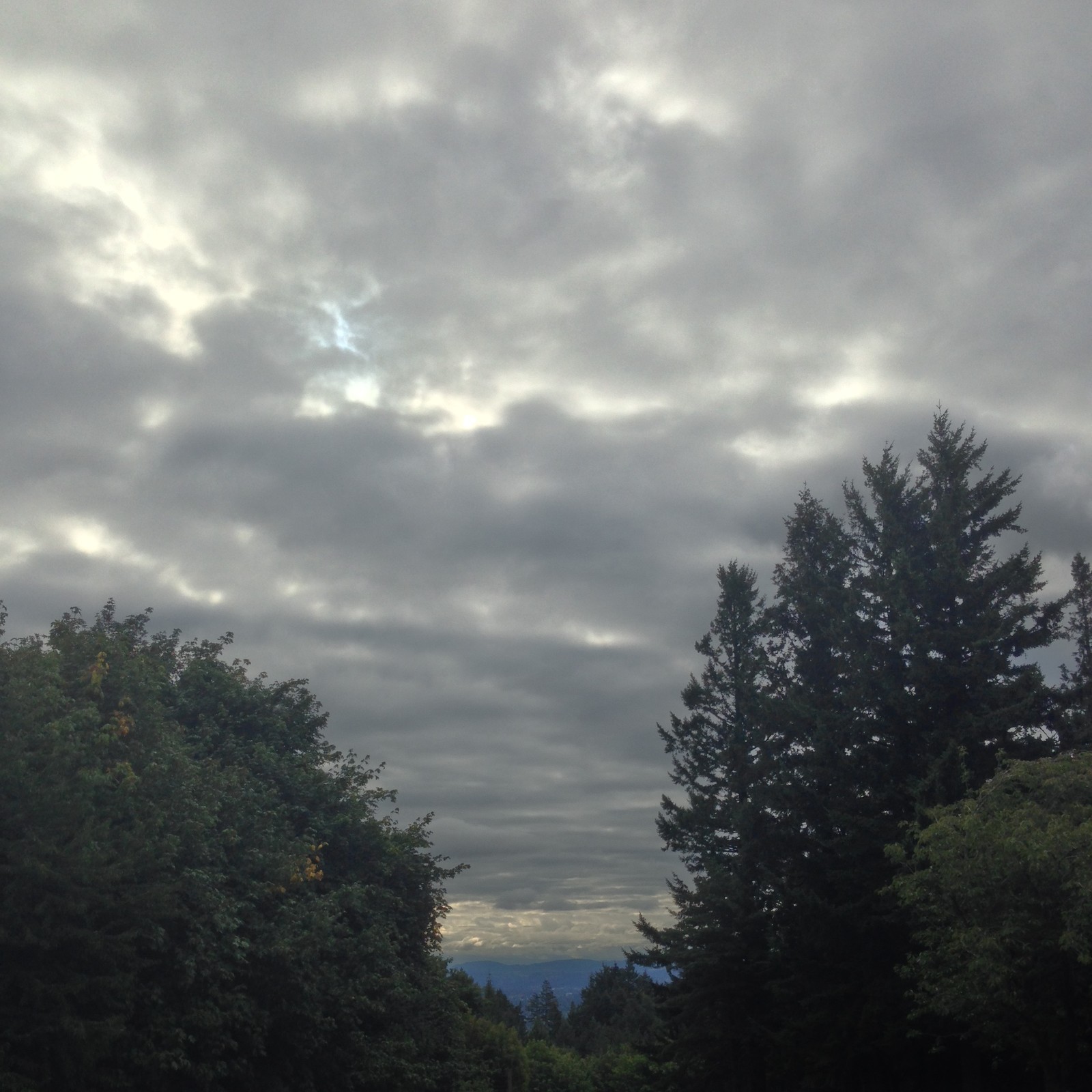 View from Council Crest toward Mt. Hood, which is NOT visible
