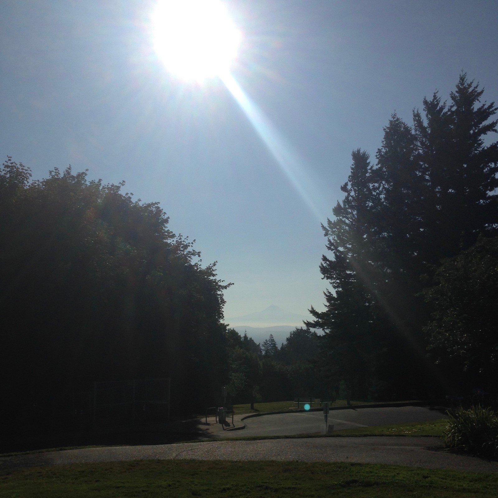 View from Council Crest toward Mt. Hood, which is visible